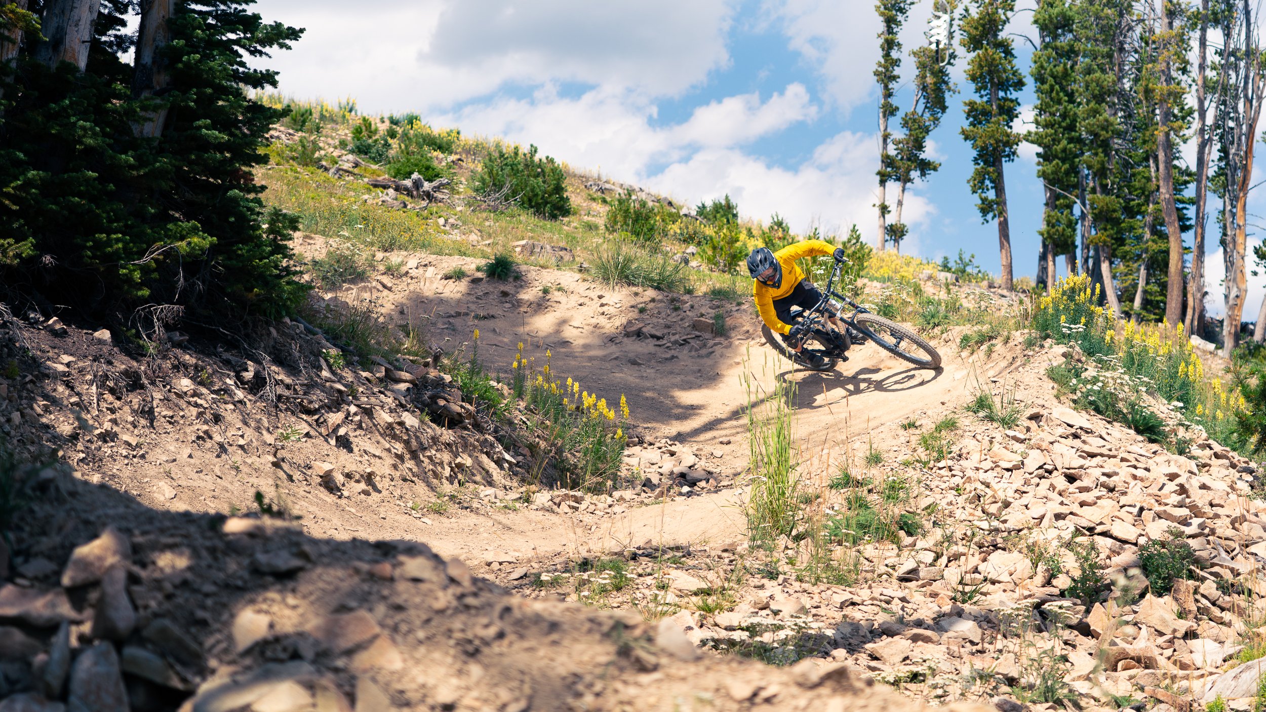 A mountain biker in a yellow jersey riding on a dirt trail in a forested mountain area with tall pine trees and a partly cloudy sky.