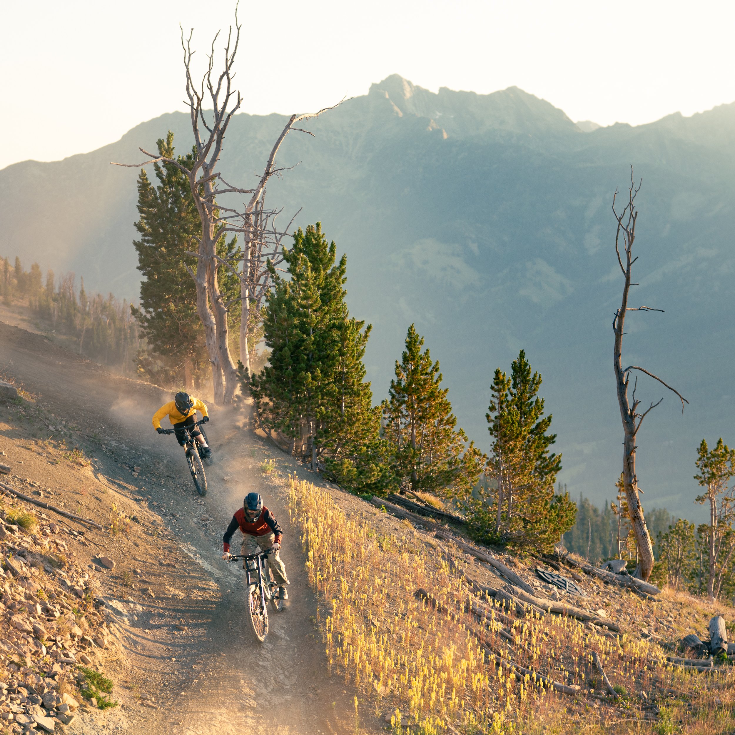 Mountain bikers riding downhill on a rugged dirt trail surrounded by pine trees and mountainous landscape at sunset.
