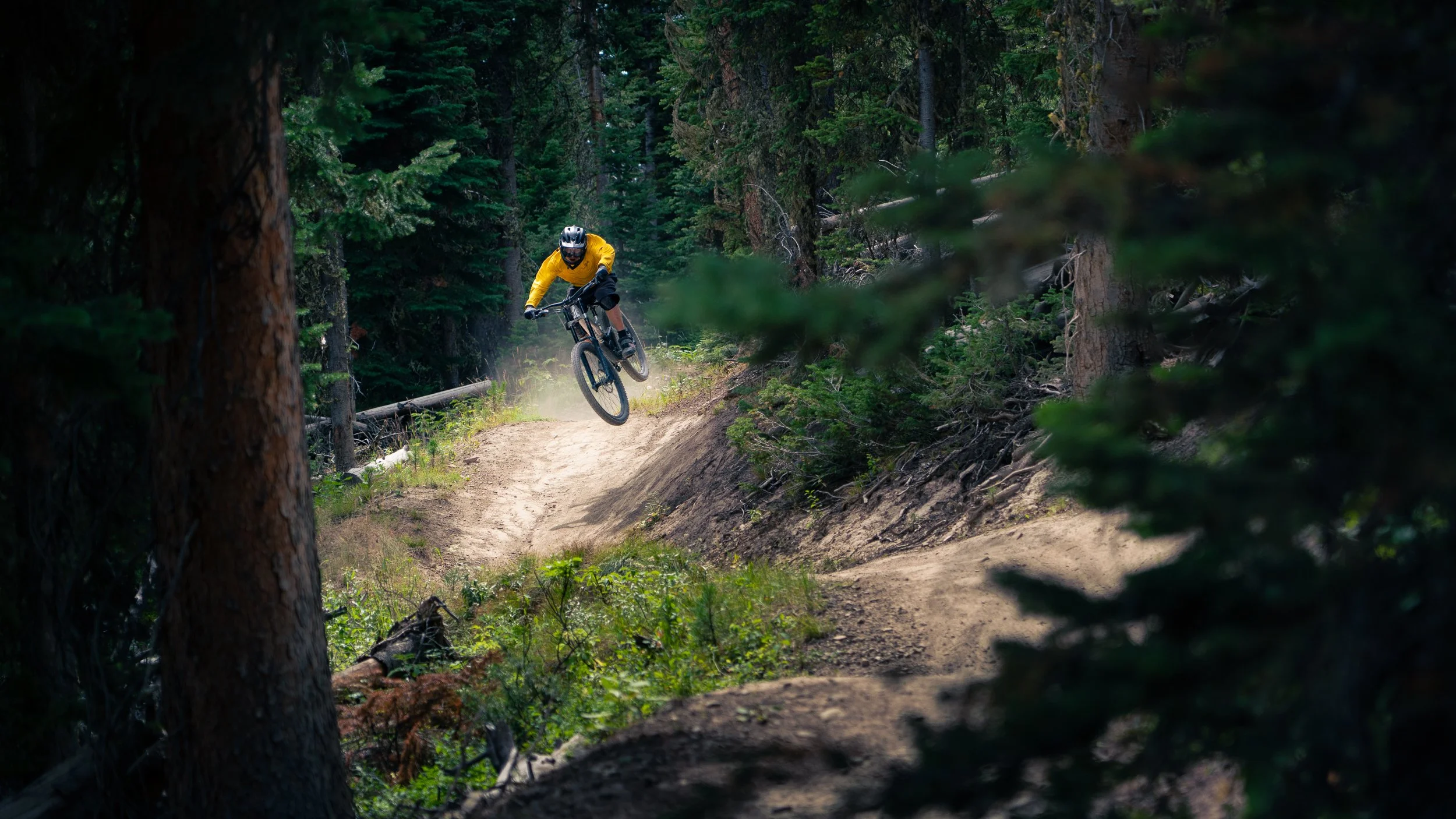 A person wearing a yellow jersey and helmet riding a mountain bike on a dirt trail through a dense forest with tall trees and green foliage.