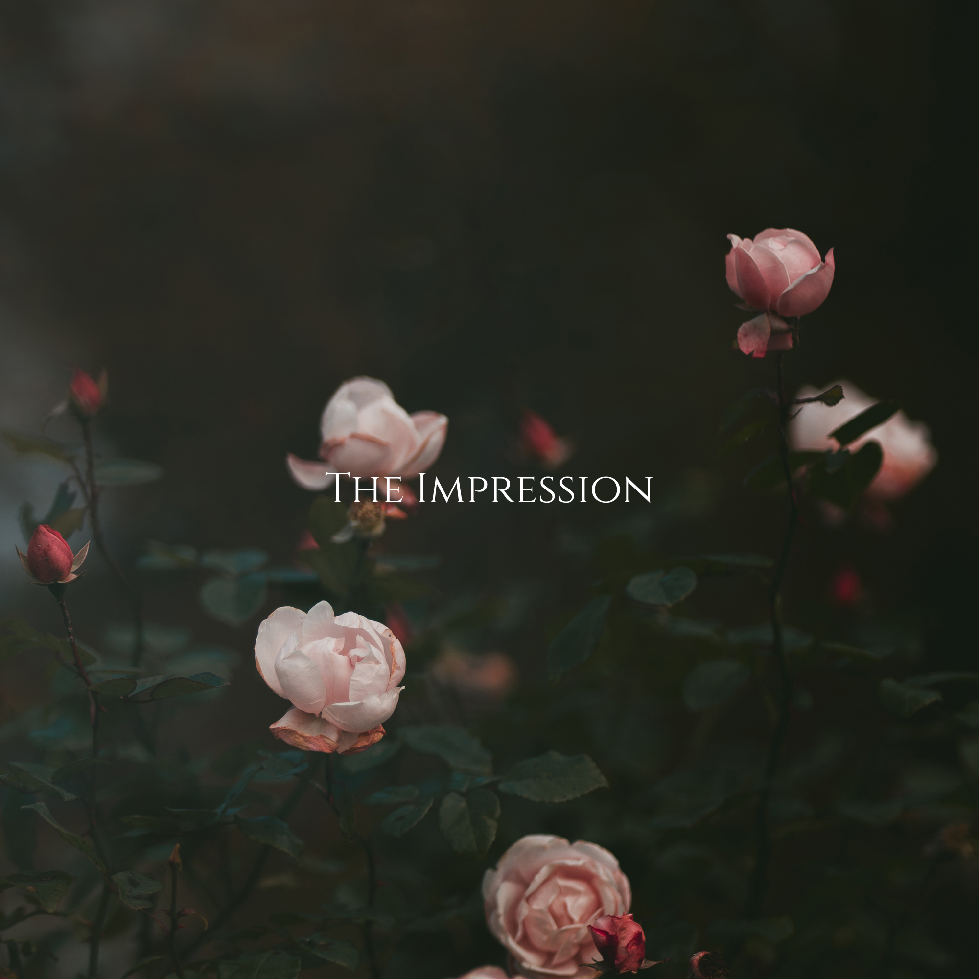 The Impression