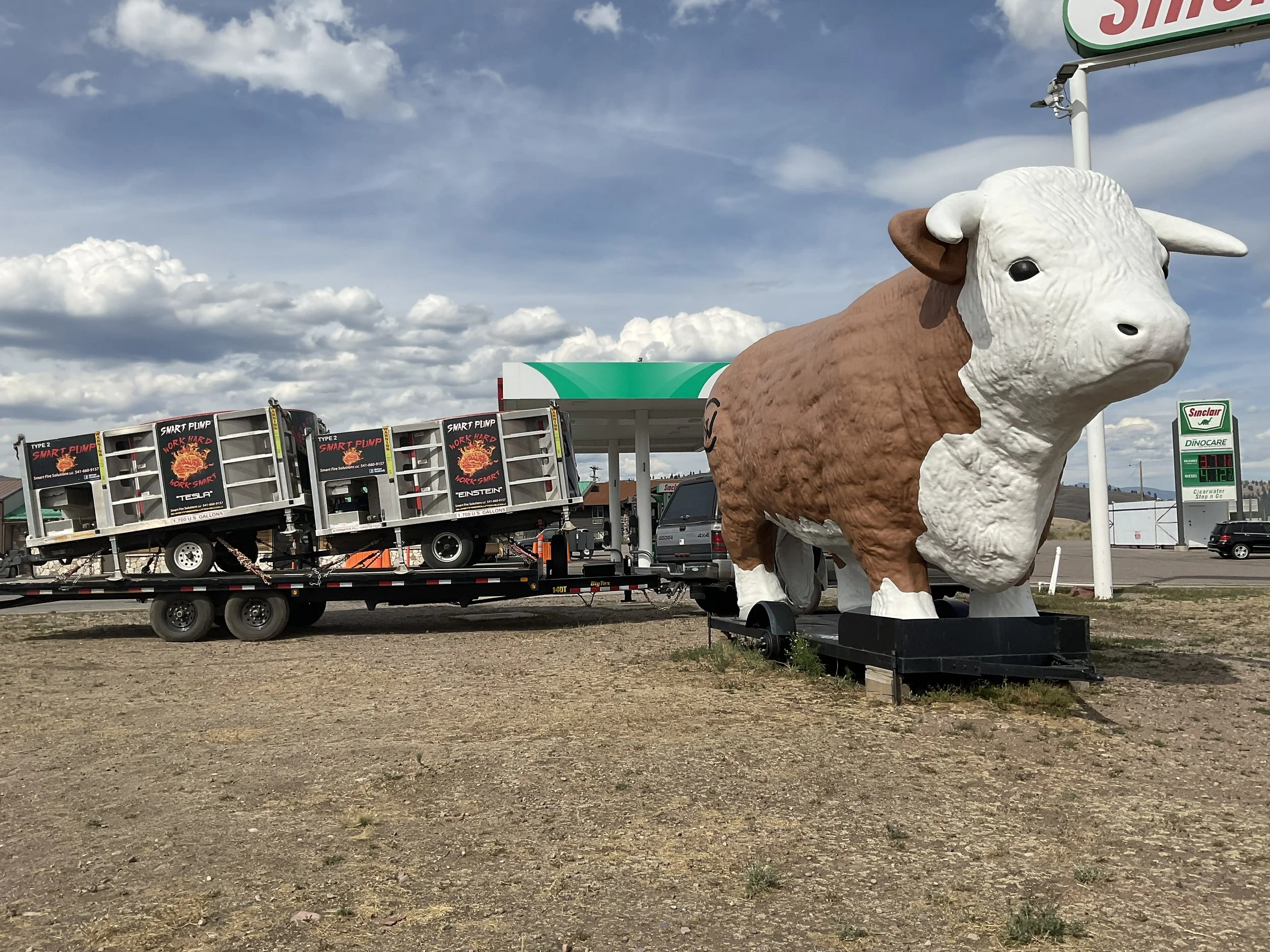 2025 Garnet Fire MT - Bull