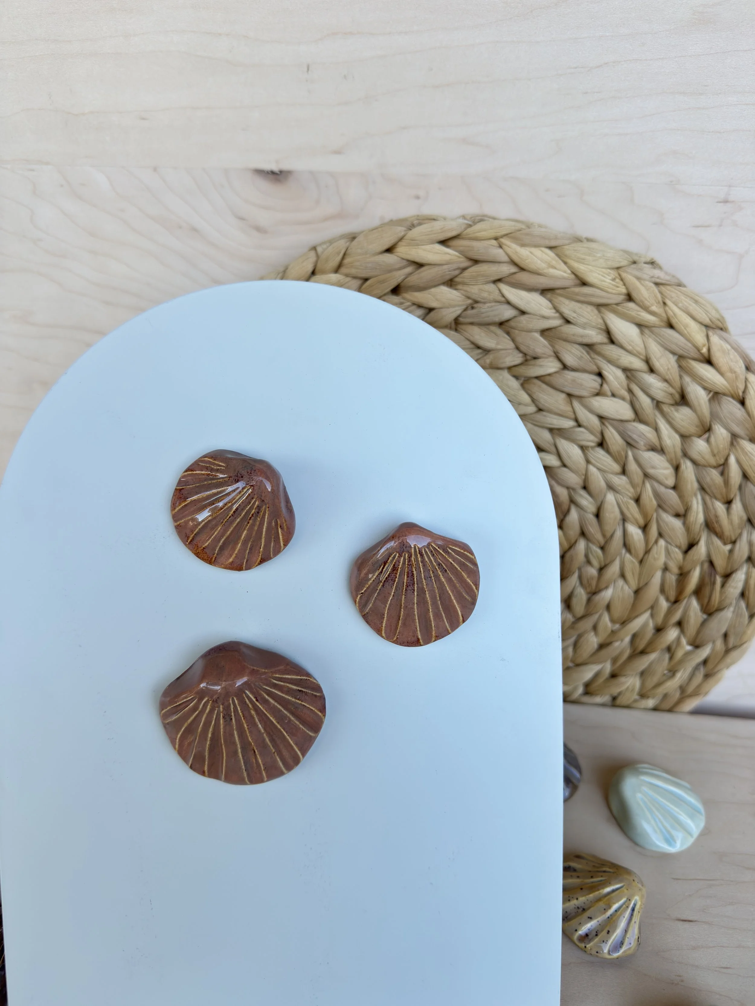 Shell Magnet | Fire Coral