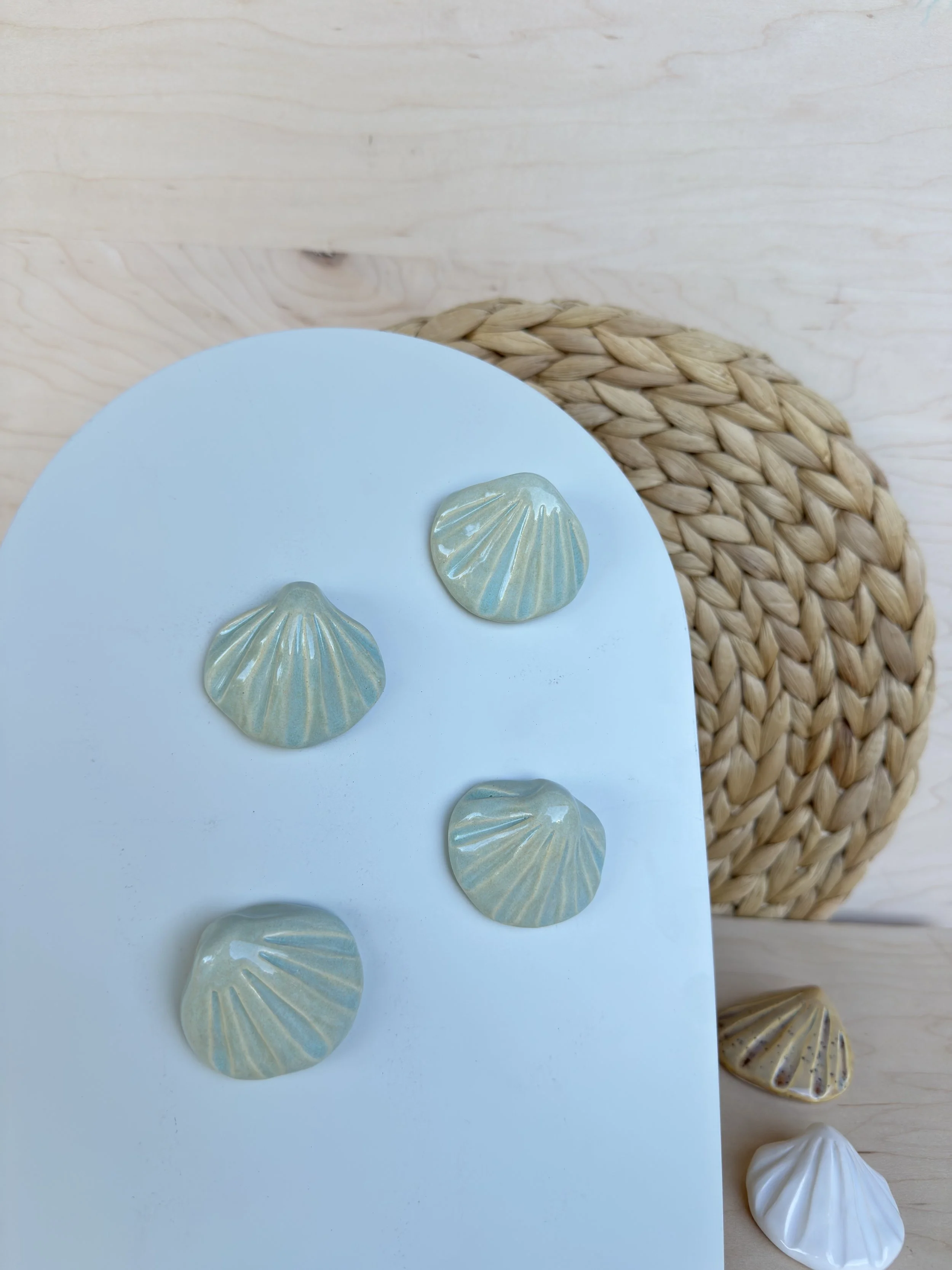 Shell Magnet | Saltwater