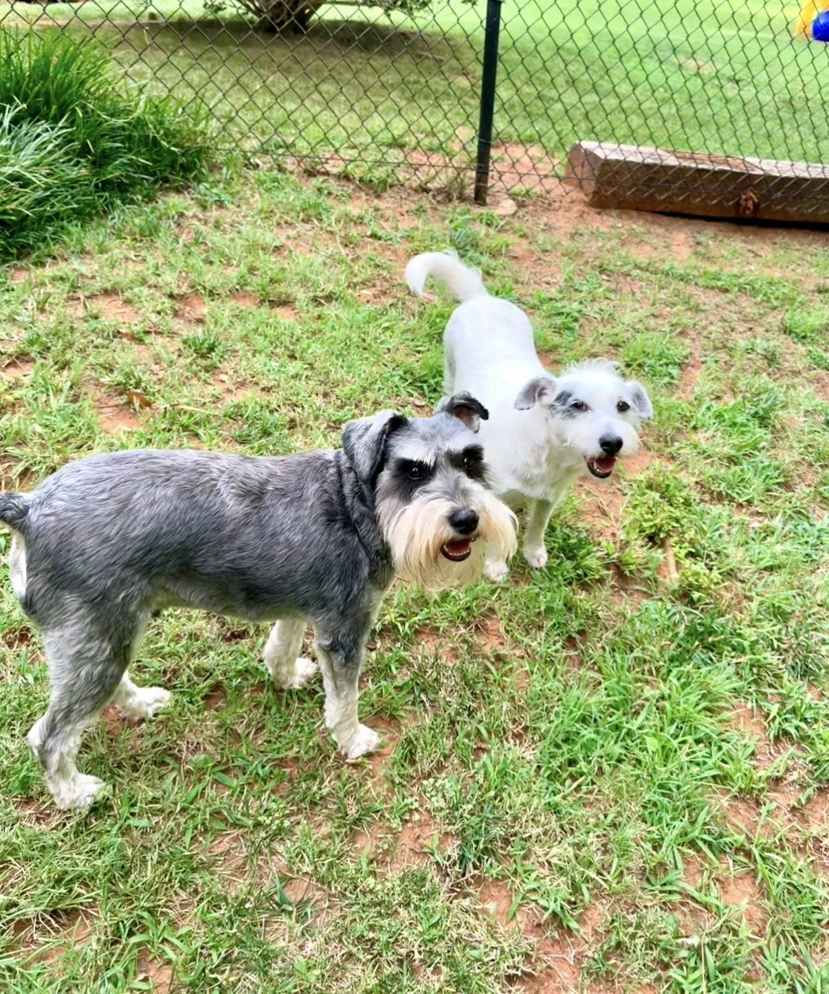 chase & audrey.jpg
