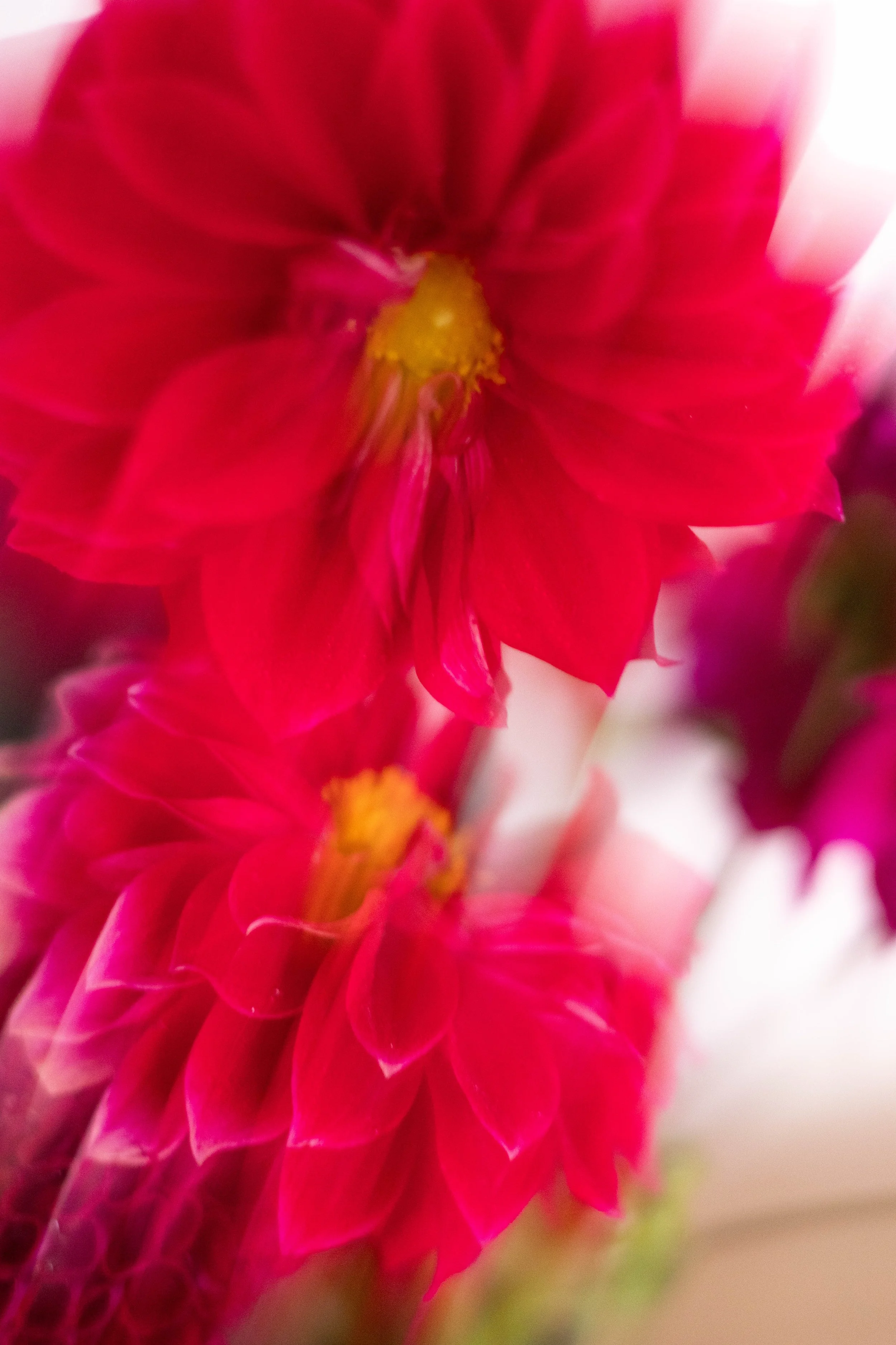 045A6211.jpg