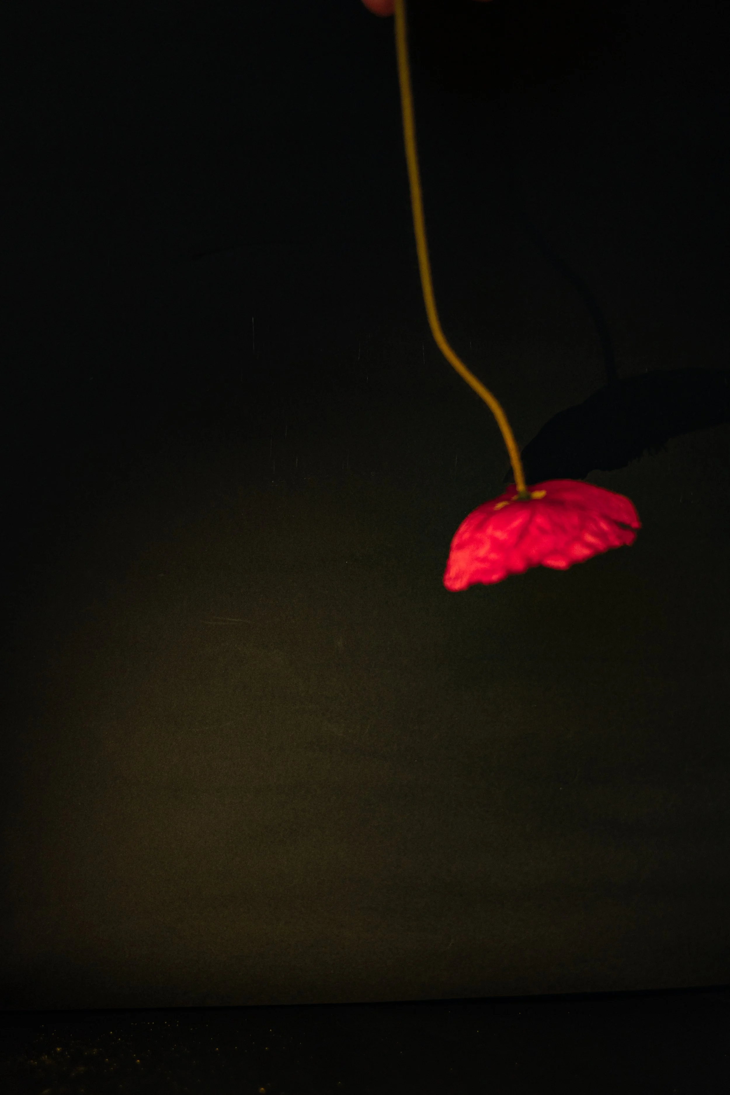 Fleur Blur - Single Red - A5 print