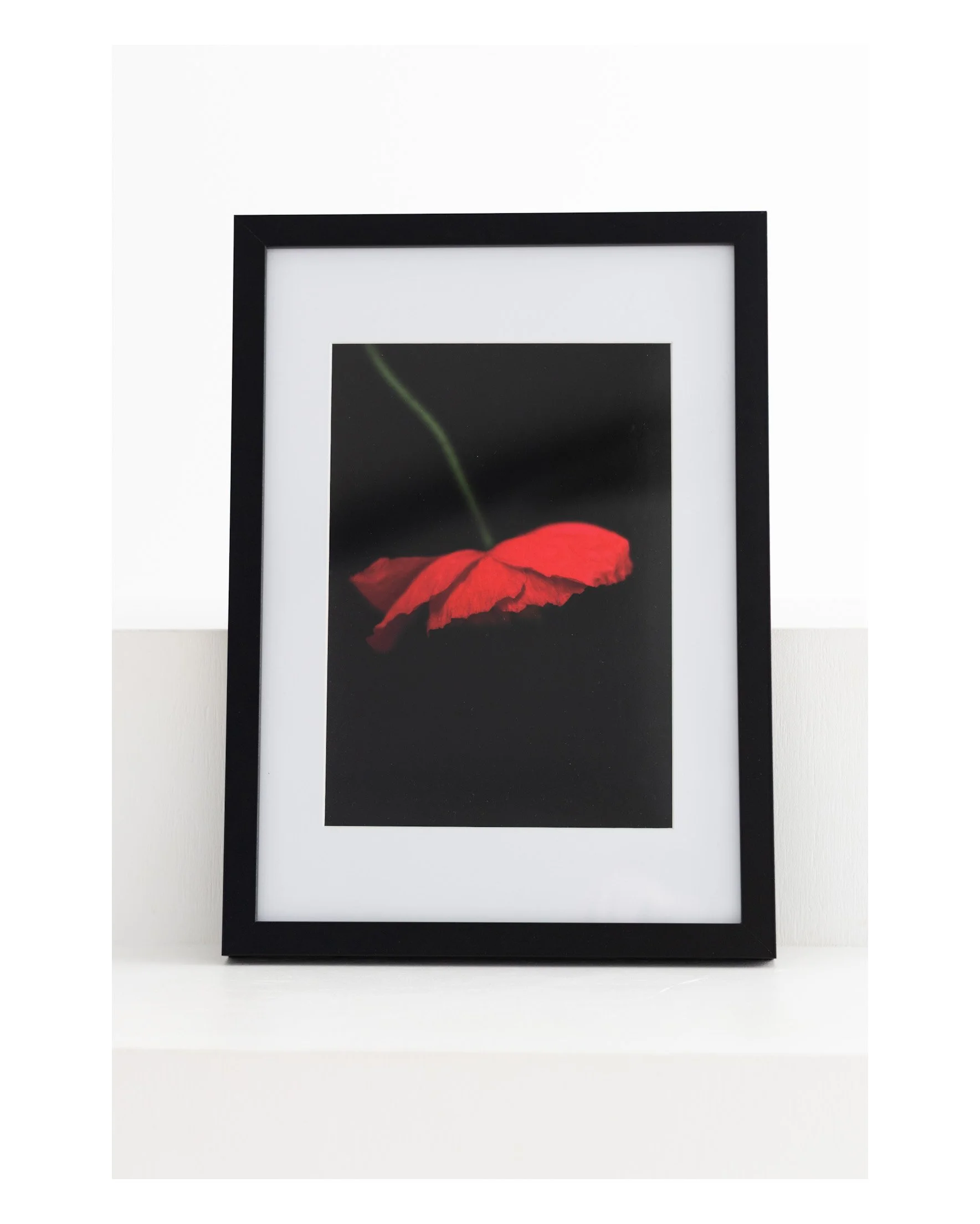 Fleur Blur - 