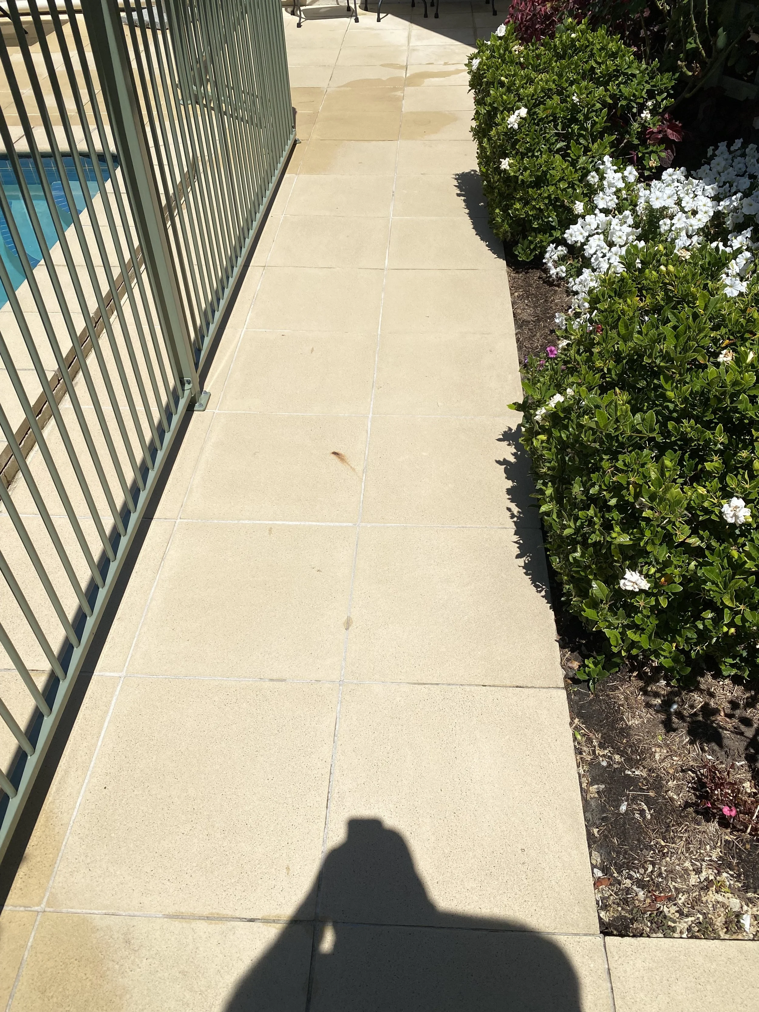 A tiled outdoor walkway bordered by a black metal fence on one side and a flower bed with green bushes and white flowers on the other side.