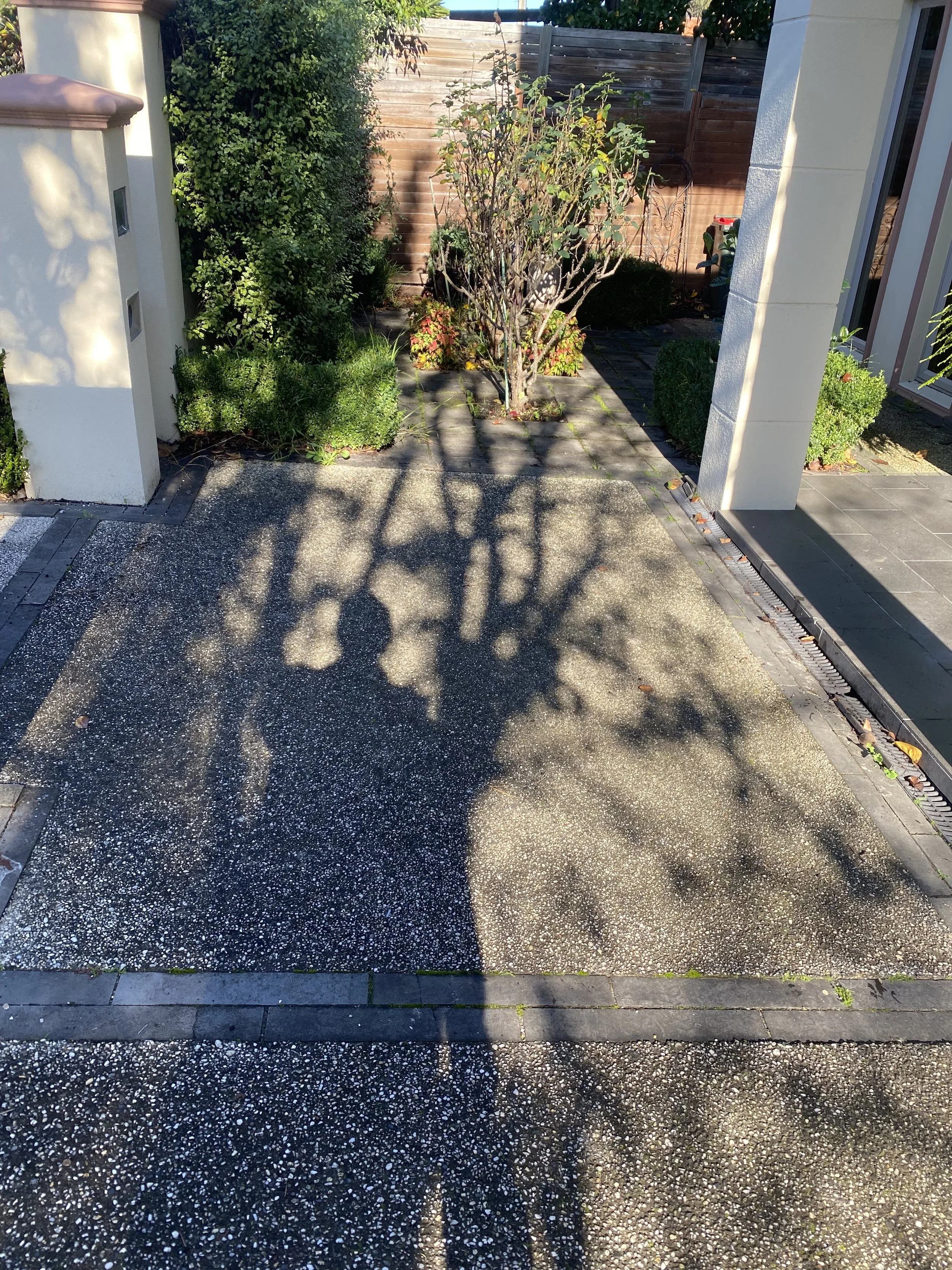 A front yard with a small tree, bushes, and a wooden privacy fence. Shadows of the tree and some branches are cast onto the concrete driveway. There is a white column and part of a building on the right.