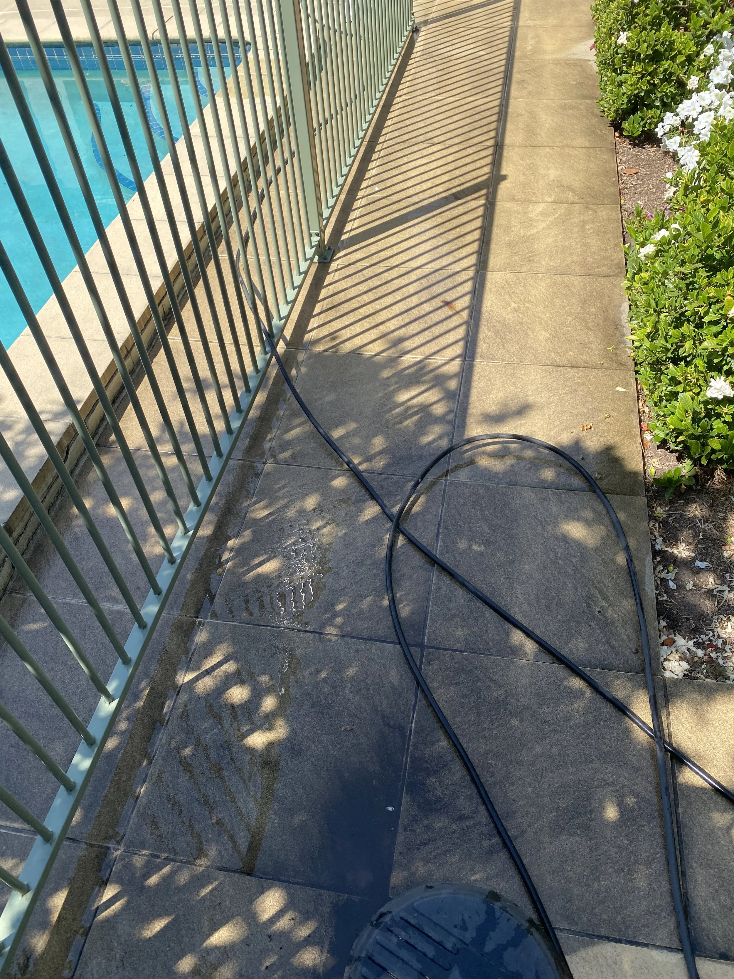 Pool surround pathway in Templestowe before professional pressure cleaning, showing dirt, algae and weather staining.