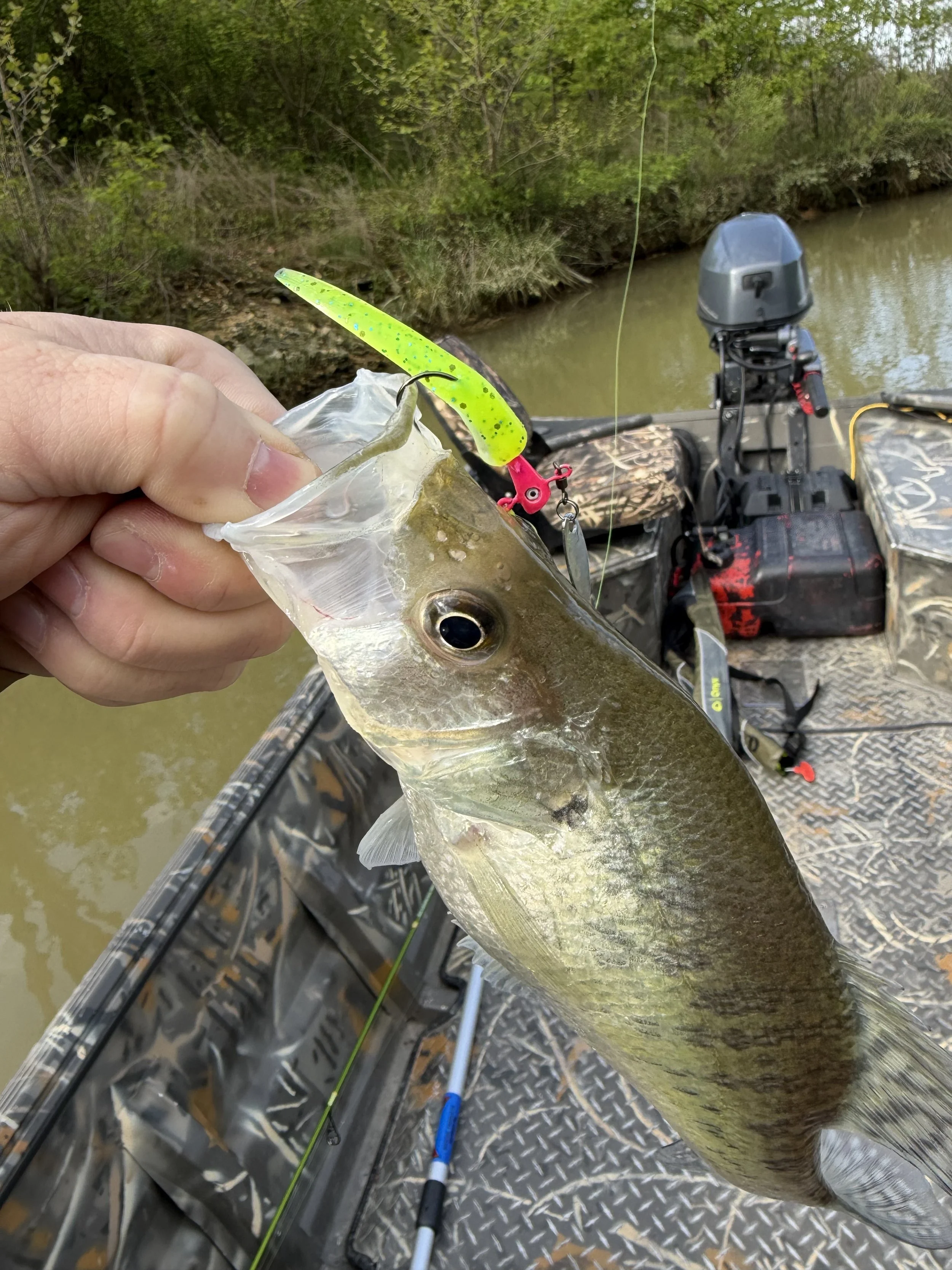 A fishing rod with a  green lure attached is held above a fish on a boat, with a green river and trees in the background.