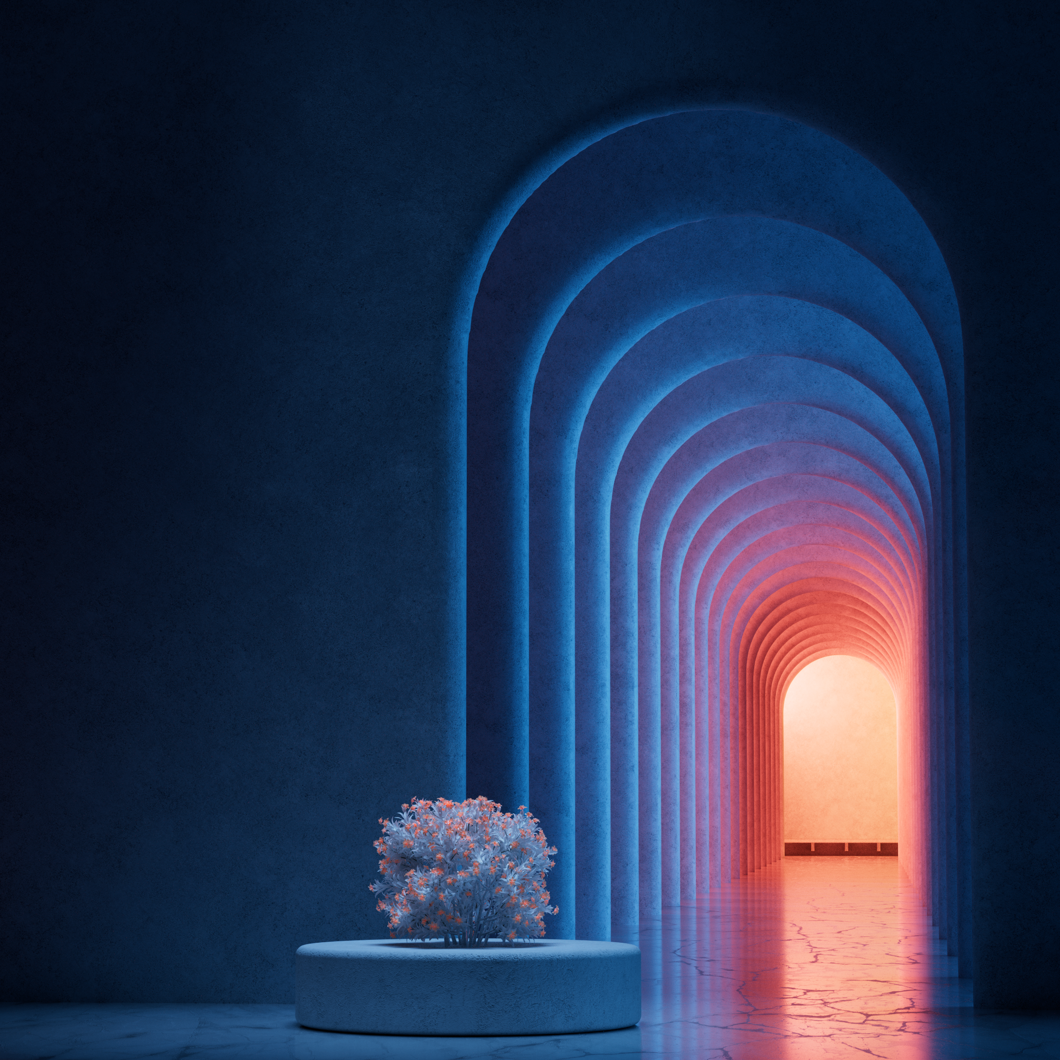 210228_everyday_db.png
