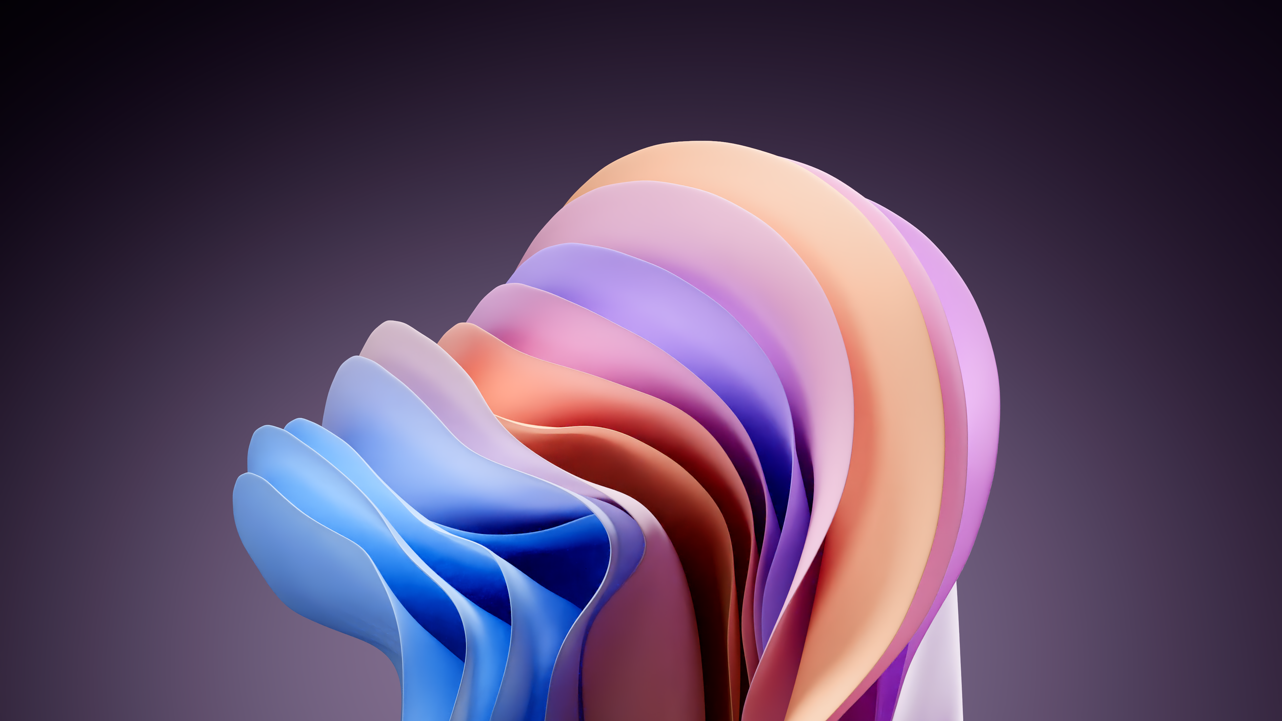 230419_everyday.png