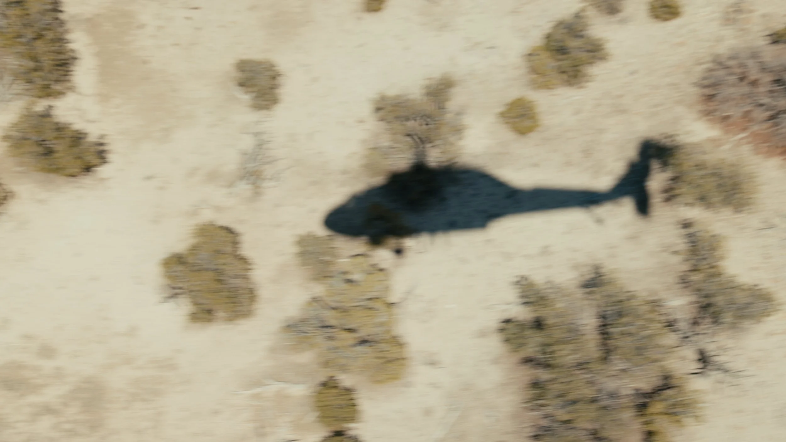 Shadow of a person walking on sandy ground with scattered rocks and patches of vegetation.