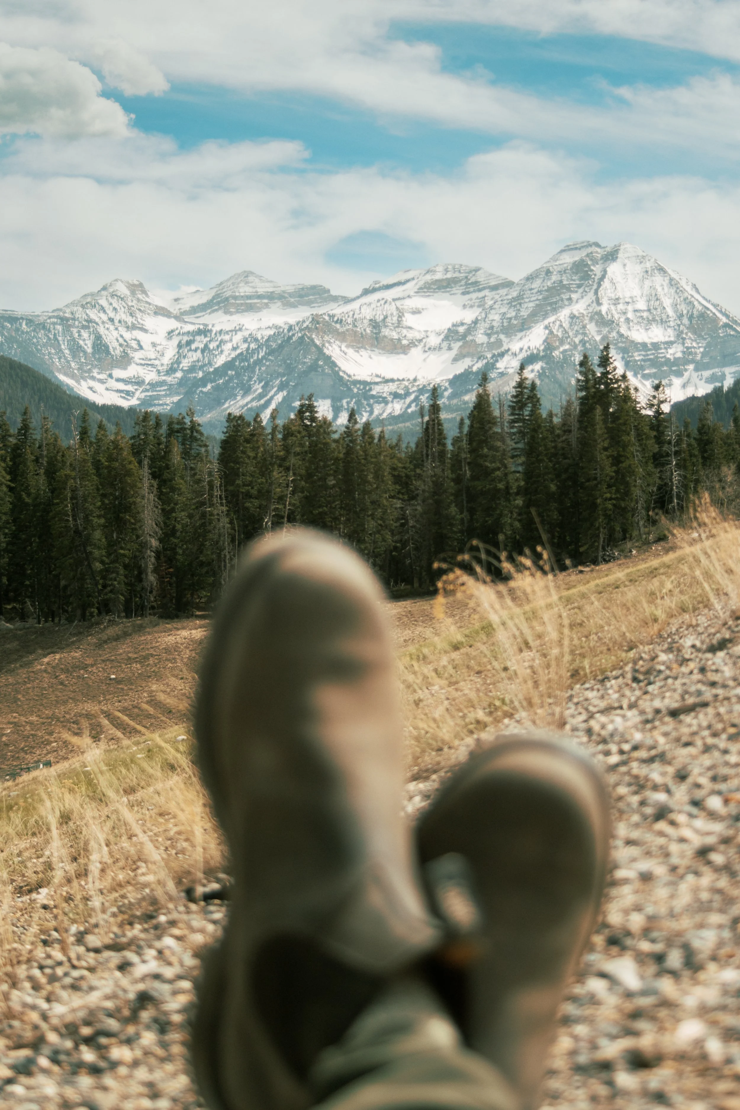 Person lying on ground looking at snow-capped mountains and forest in the distance