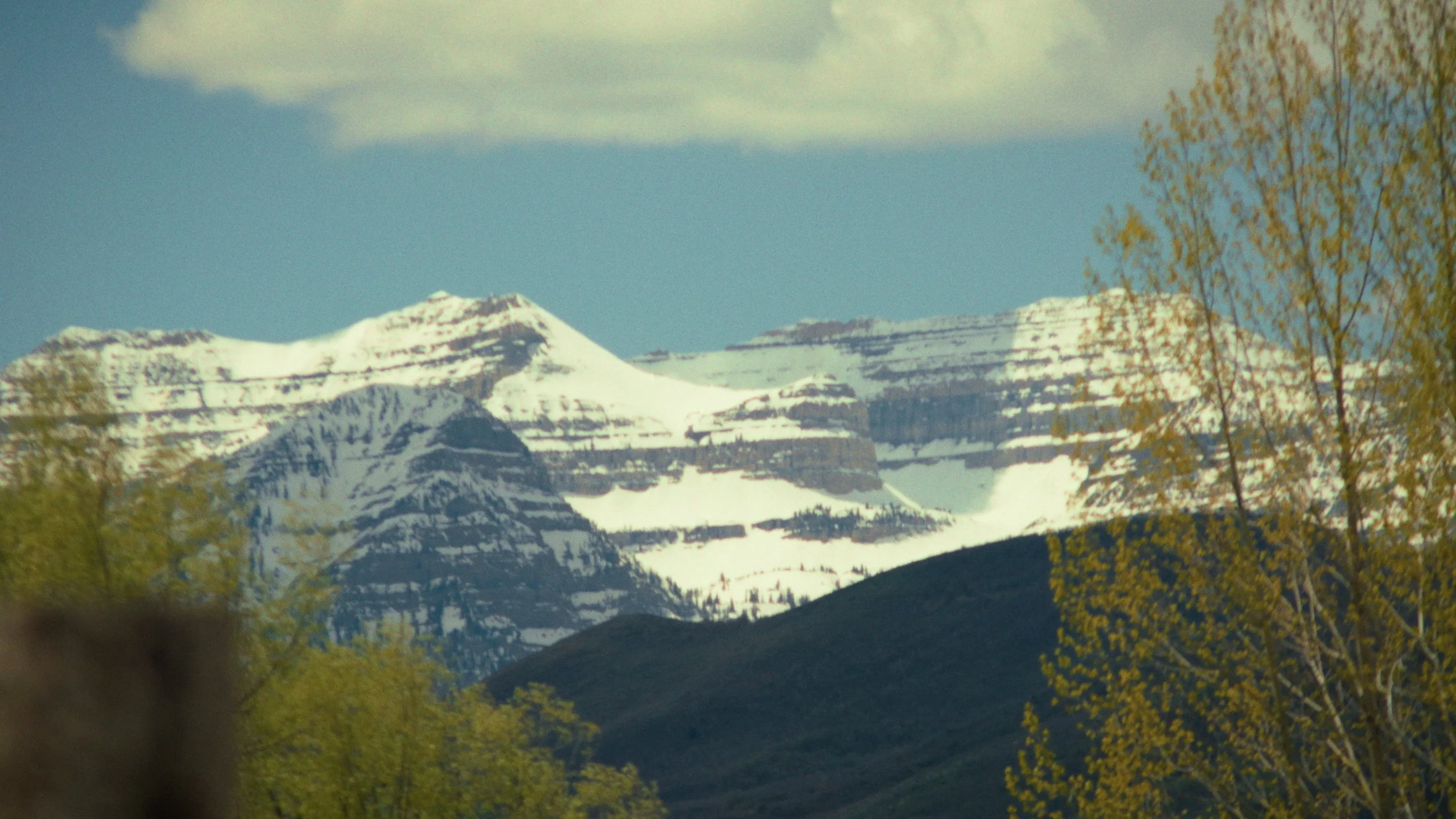 Snow-capped mountain range under a partly cloudy sky, with green and yellow trees in the foreground.