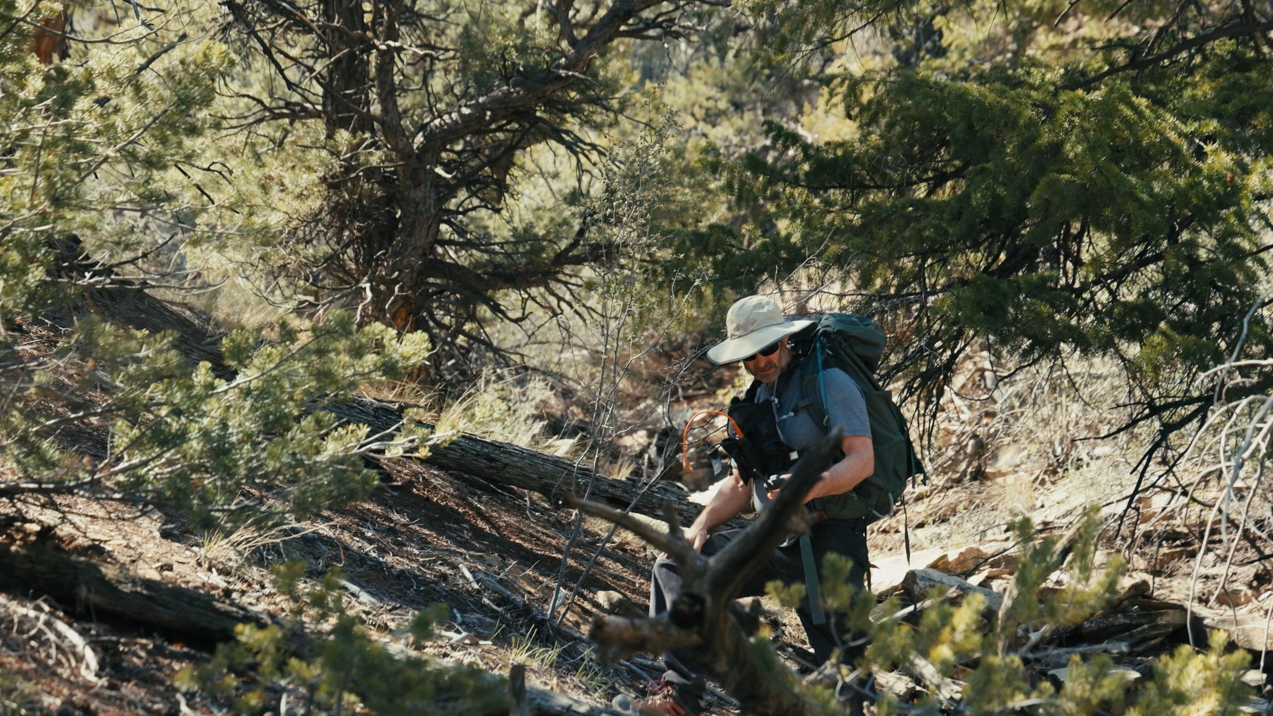 A person hiking in a forested area with low bushes and trees, wearing protective gear including a wide-brimmed hat and sunglasses, and carrying a backpack.