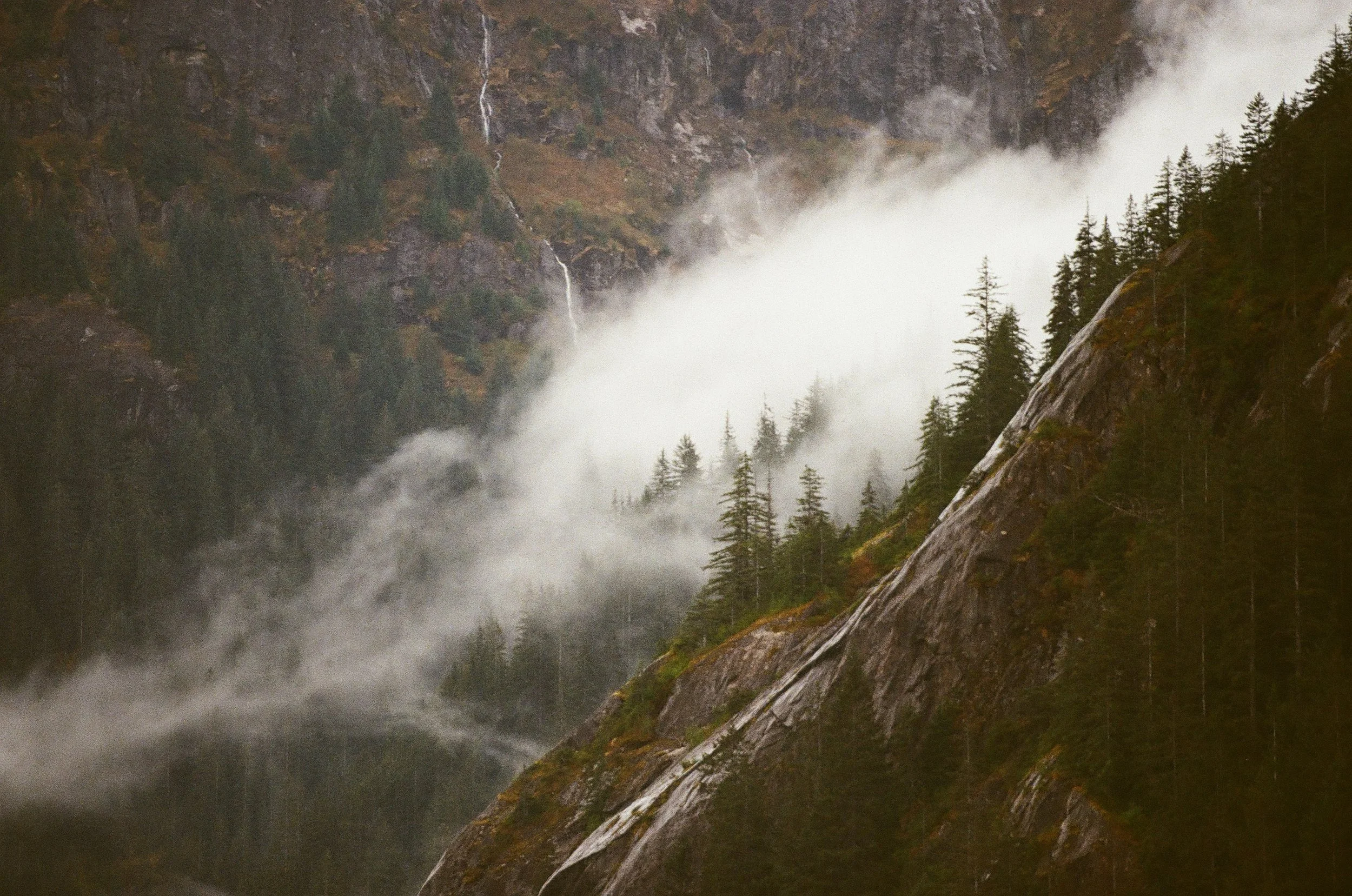 A misty mountain landscape featuring tall pine trees, rugged rocks on a hill, and a waterfall cascading down from the mountainside.