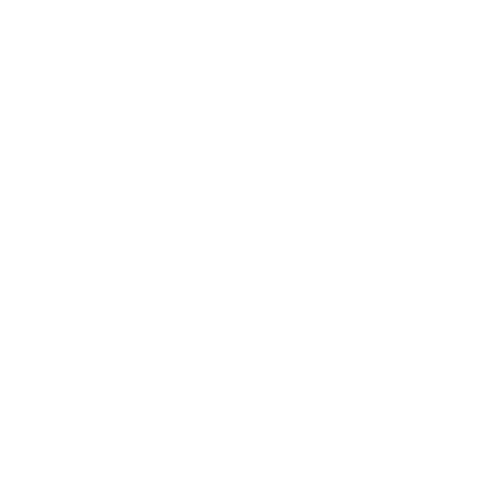 Event Co-Ordinator