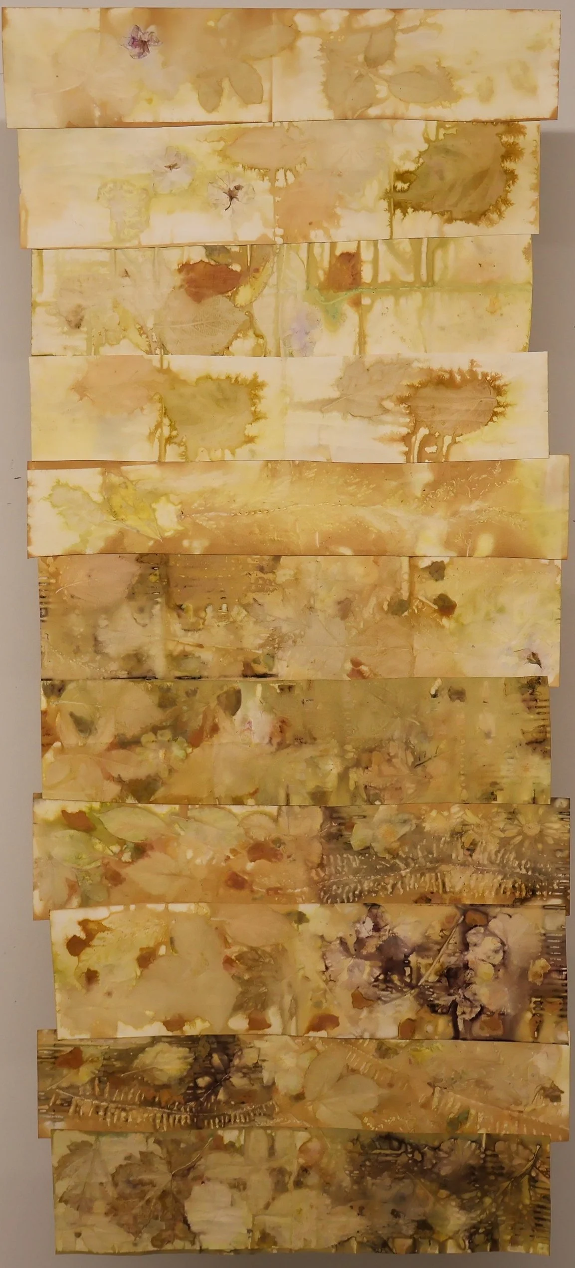 Autumn River Walk, 2026
Plant-based transfer prints with leaves and foraged plant matter on paper.
50 x 21.75 inches