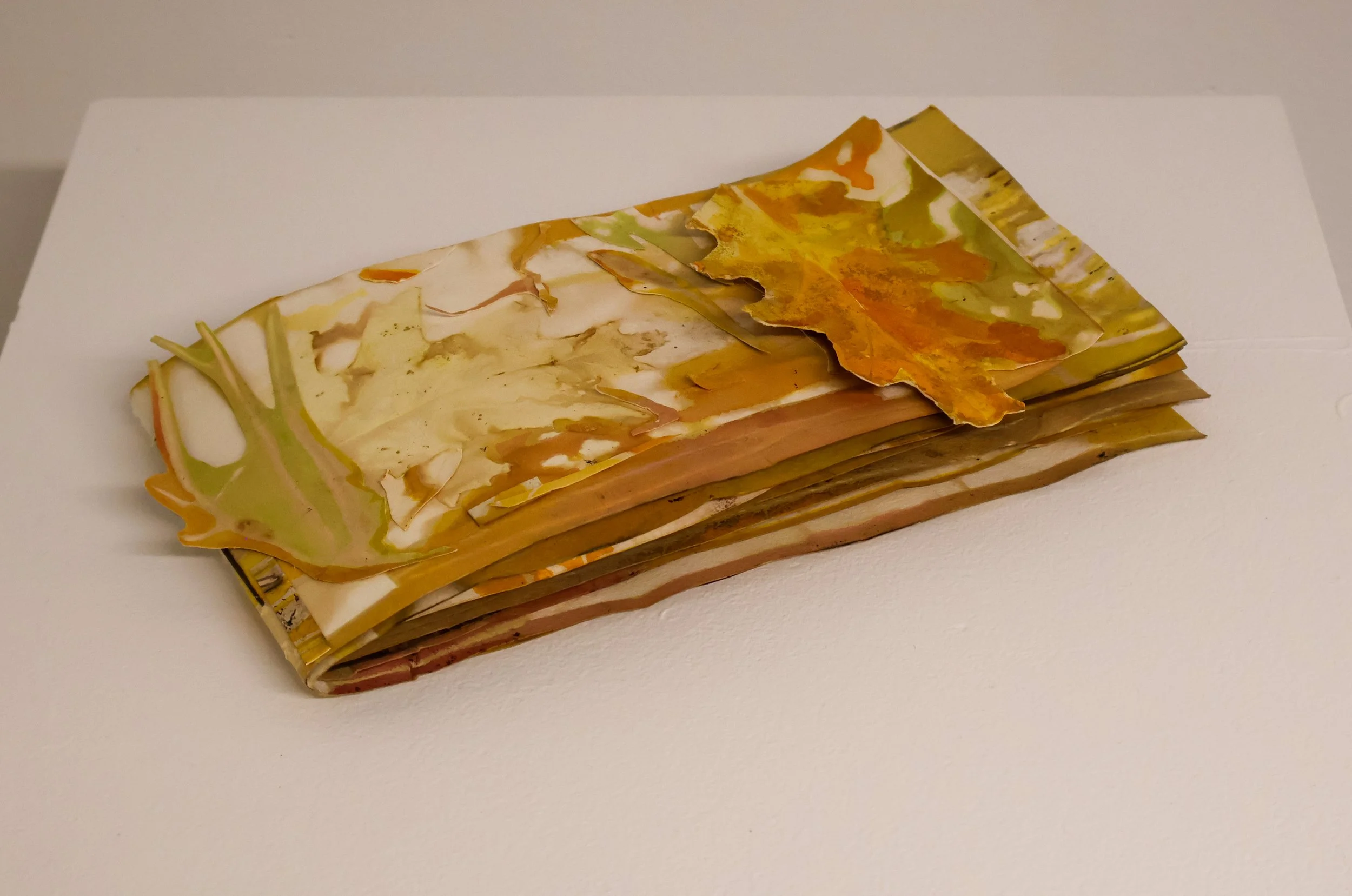 Seaweed Walk, 2026
Plant-based transfer prints with seaweed, watercolor and leaves on paper.
5.5 x 10.5 inches