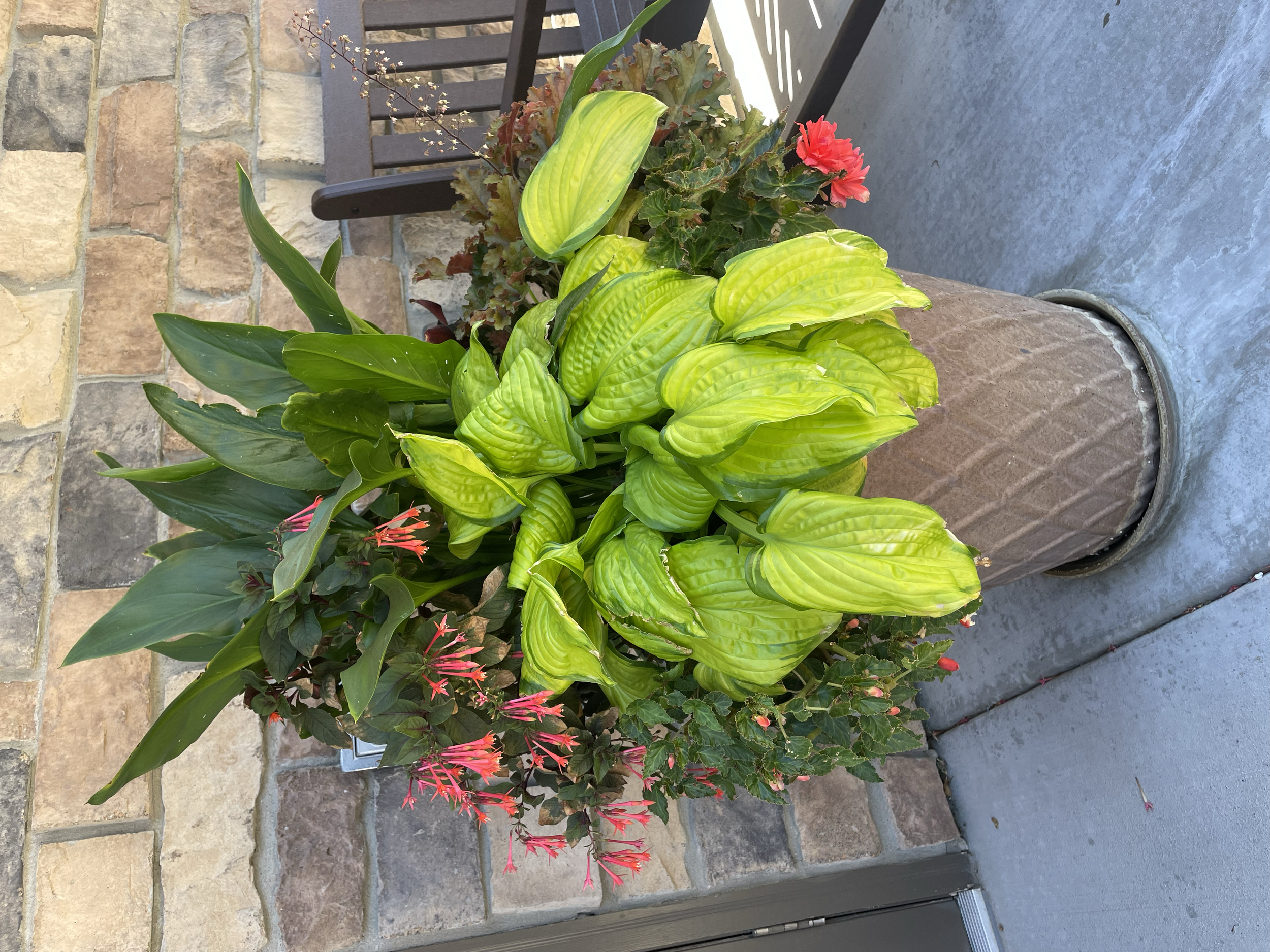 Summer Shade Planter in Aurora Colorado