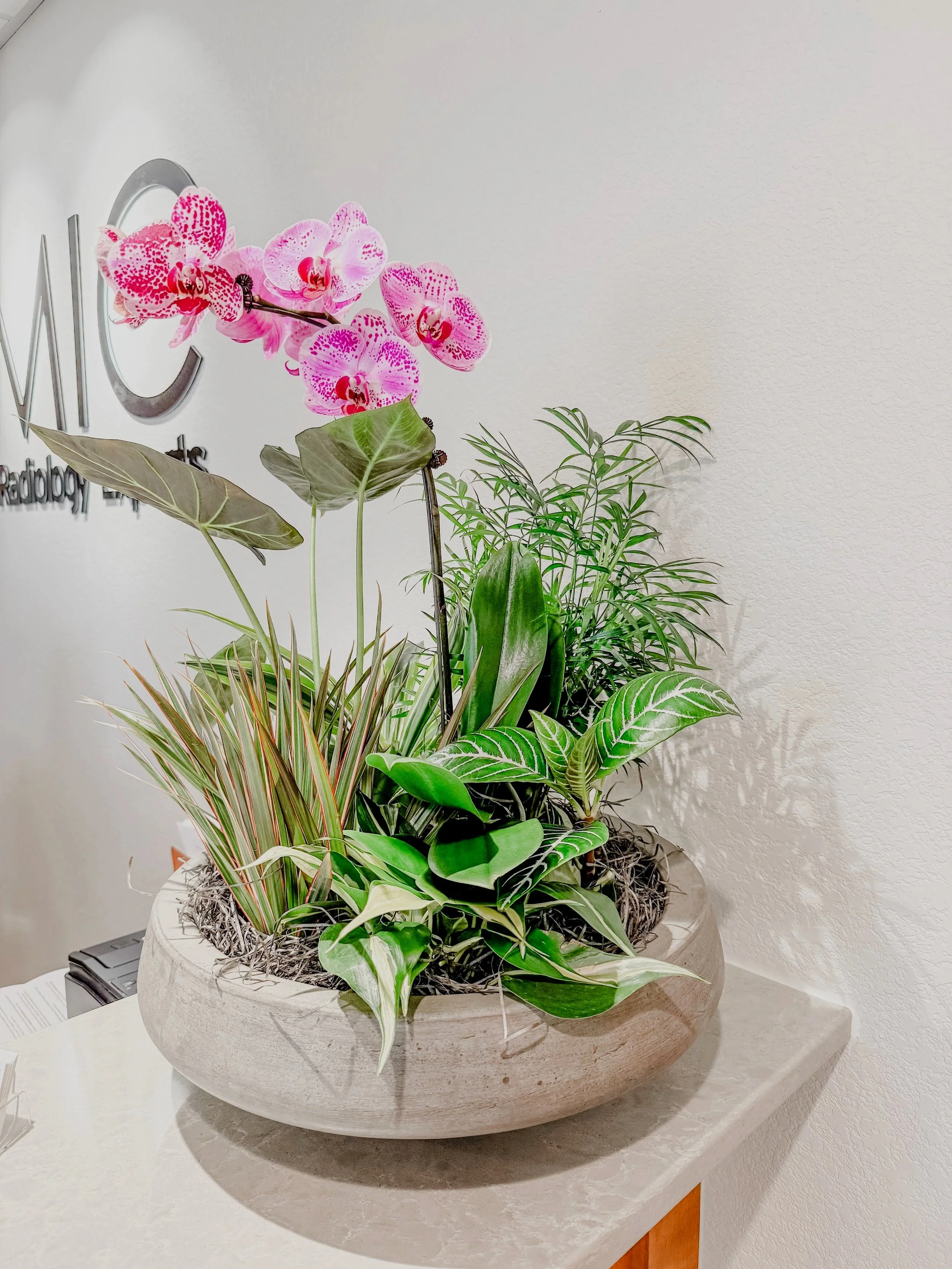 Living Art in Fort Collins office
