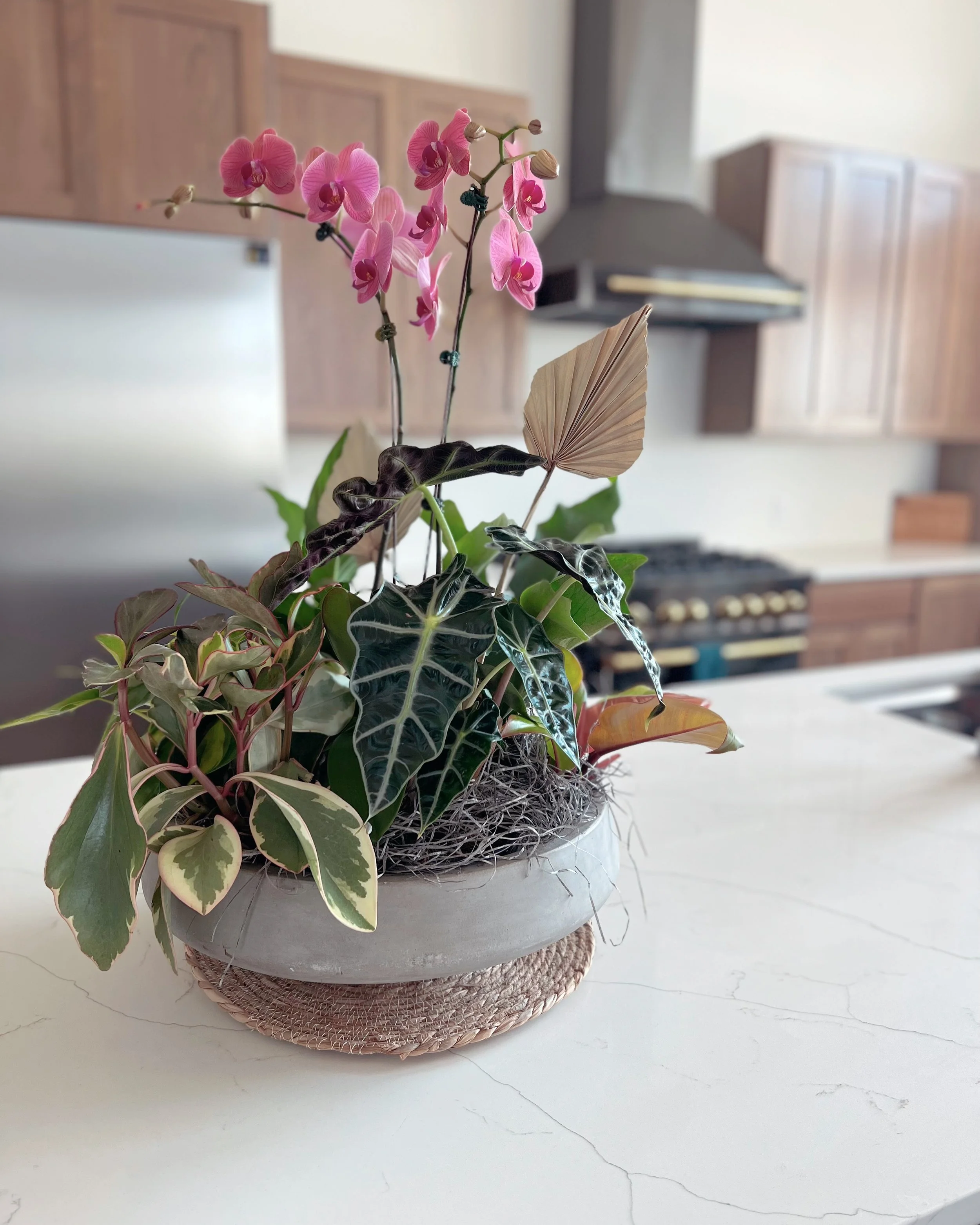 Living Art Arrangement Fort Collins