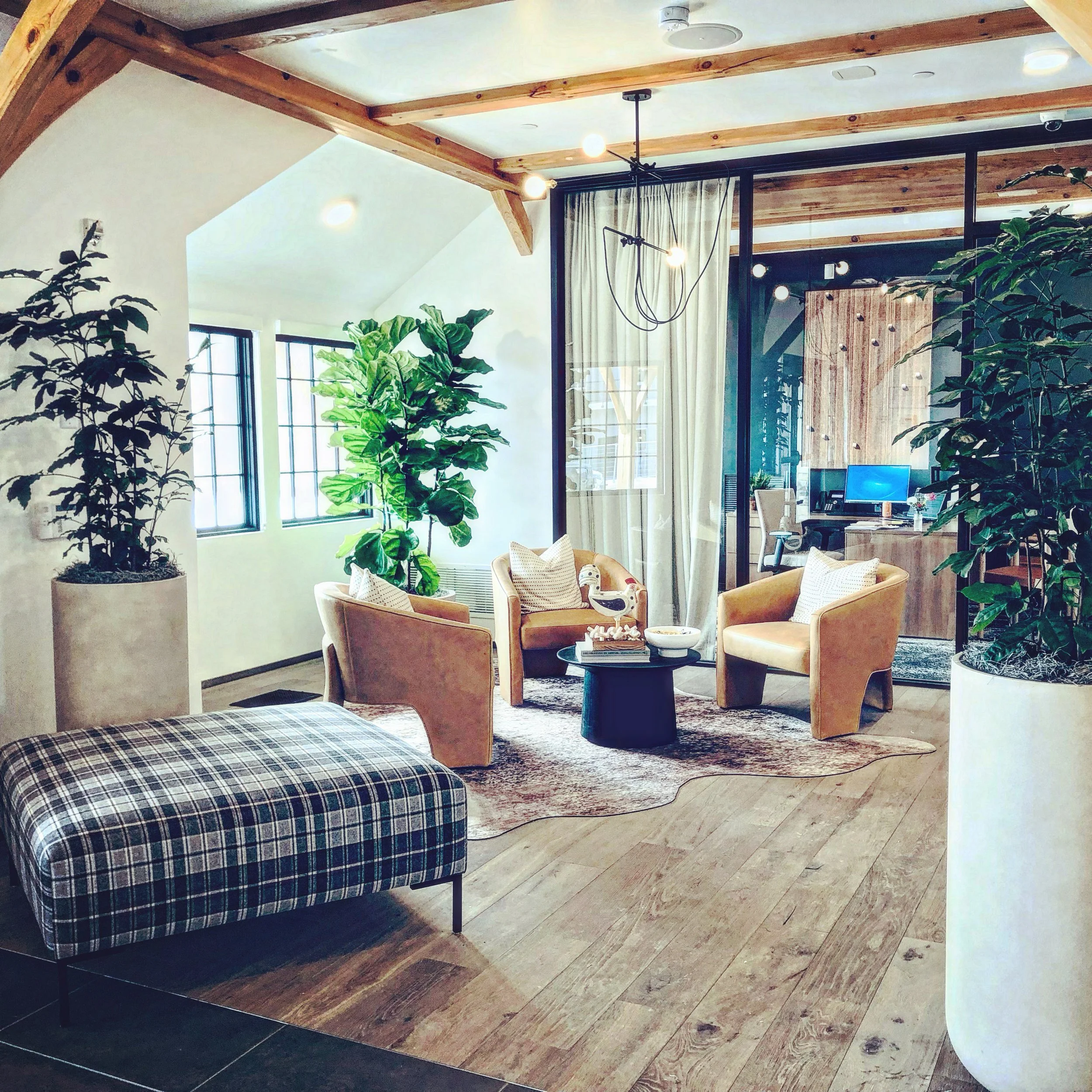 Plant Styling in Denver Colorado Lobby