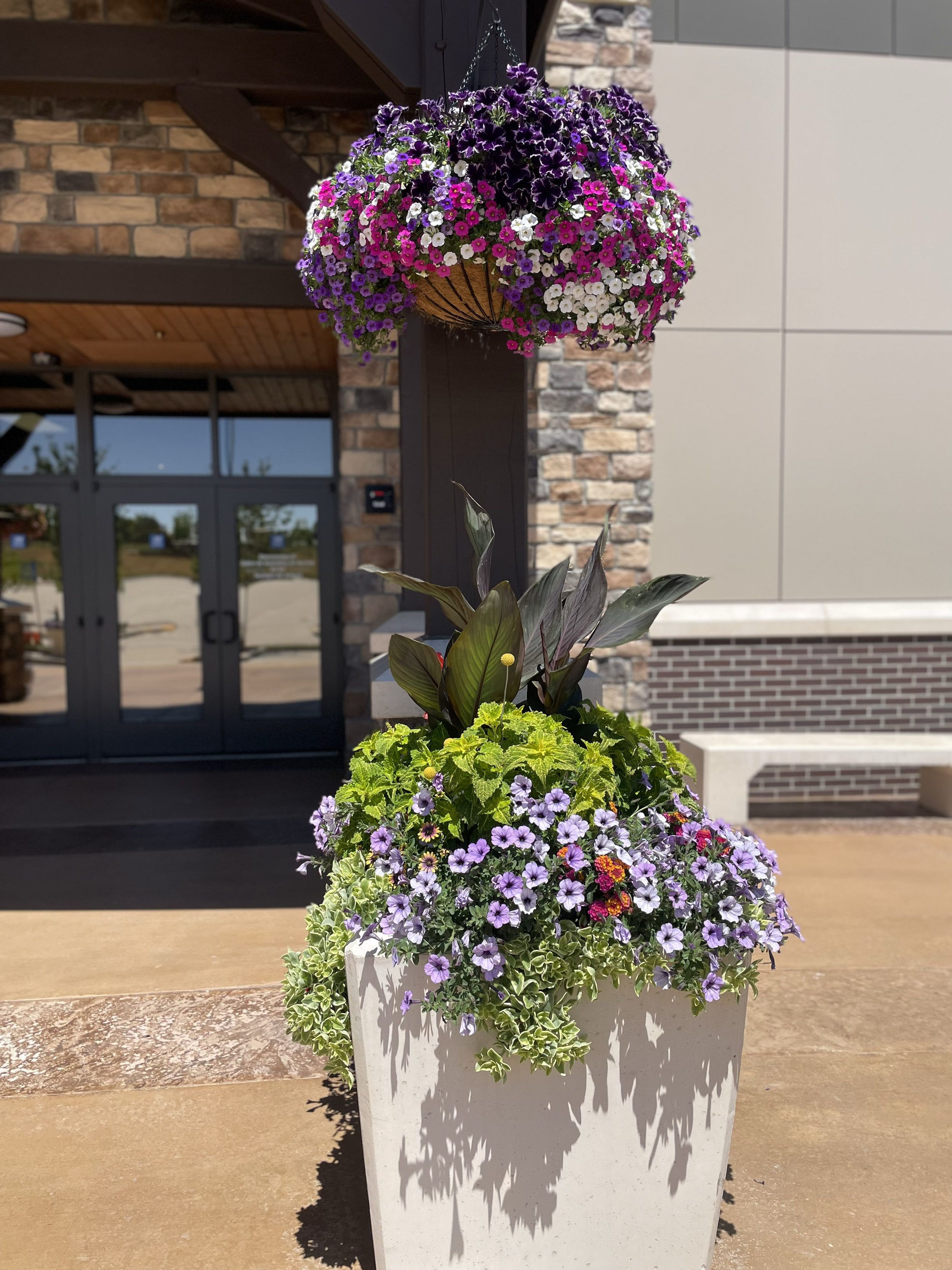Summer Planters in Aurora Colorado