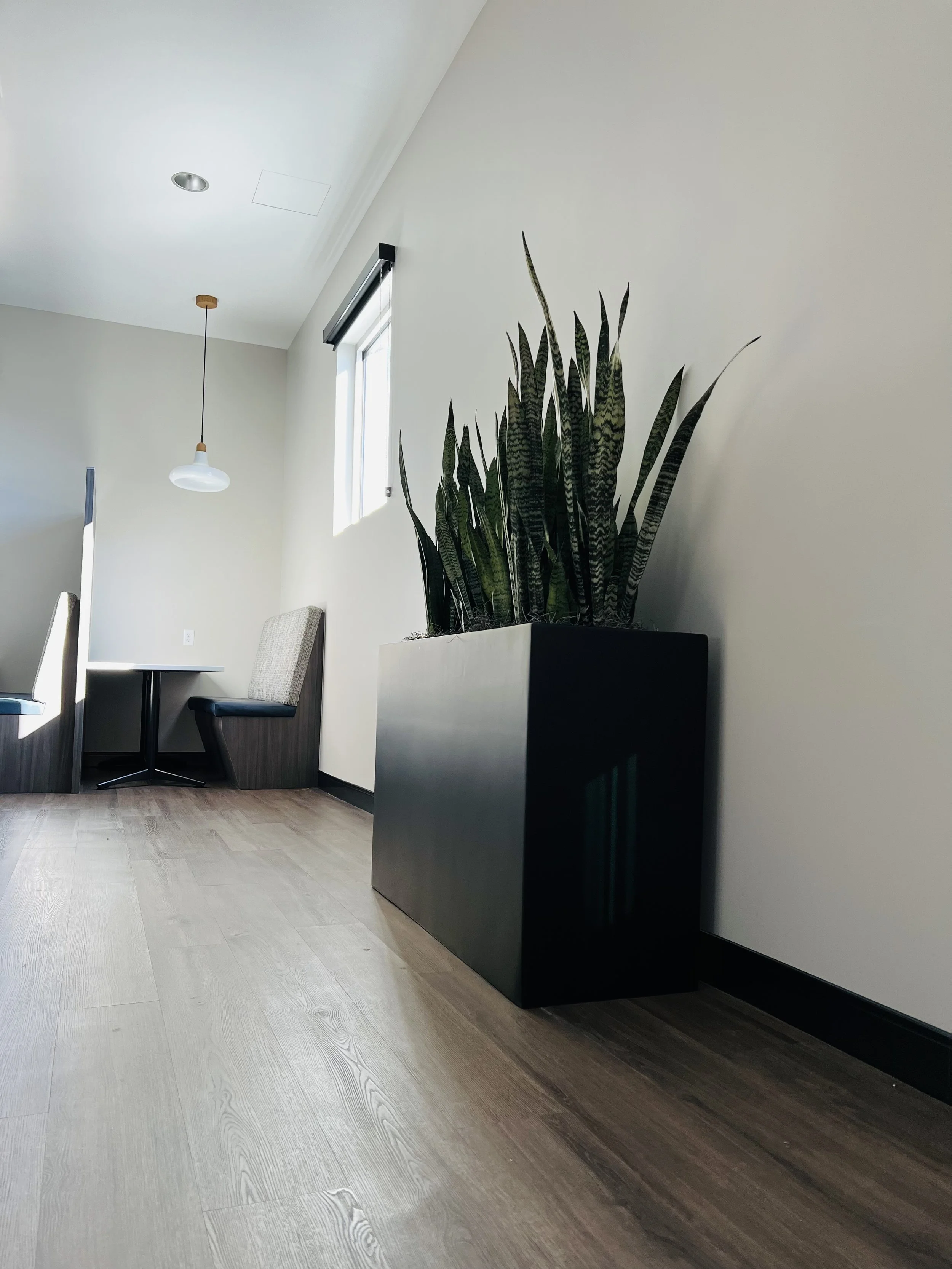 Simple Planter in Fort Collins