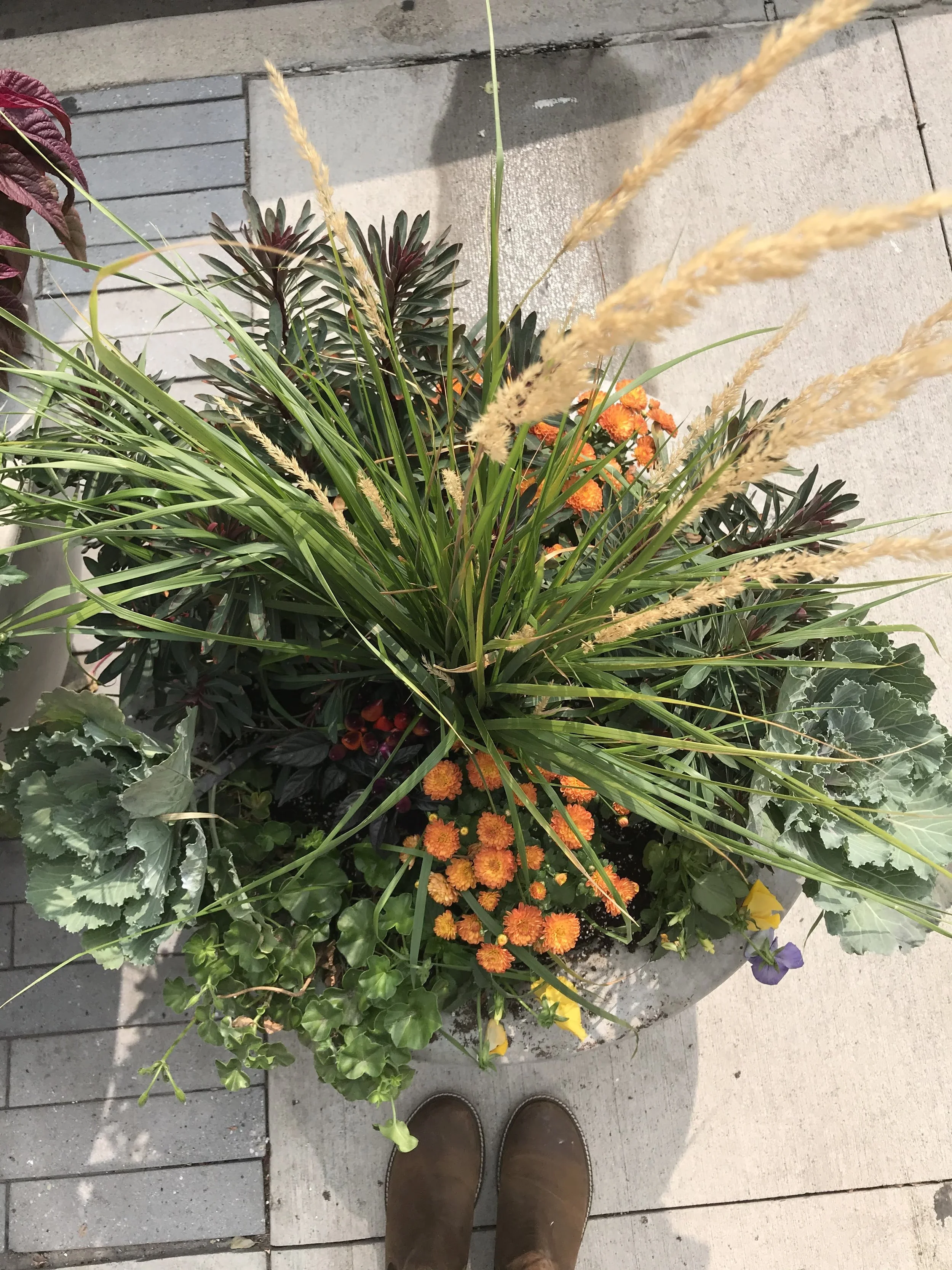 Fall Commercial Planter in Northern Colorado