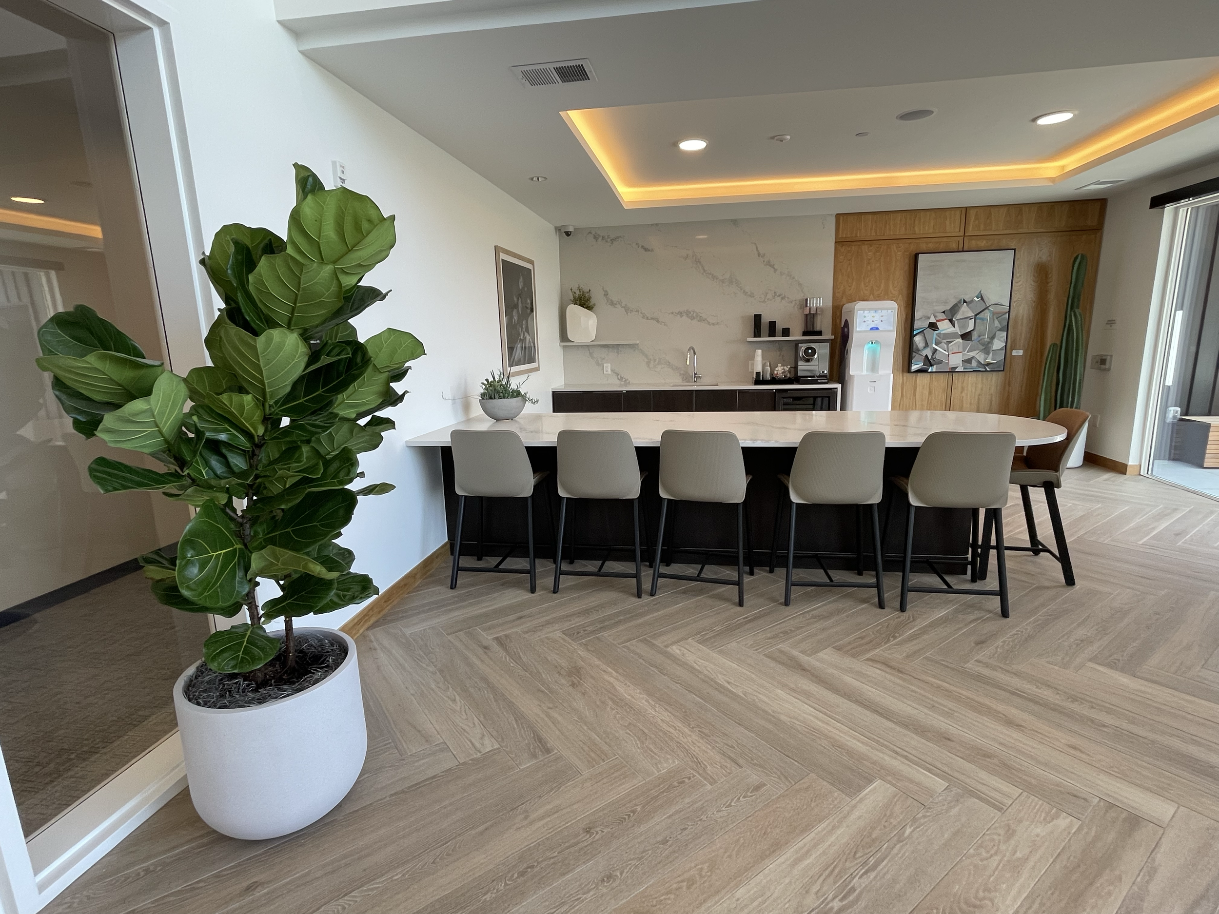 Modern kitchen with a large white marble island, gray chairs, and a green potted plant in a white pot in the foreground in Northern Colorado hospitality.