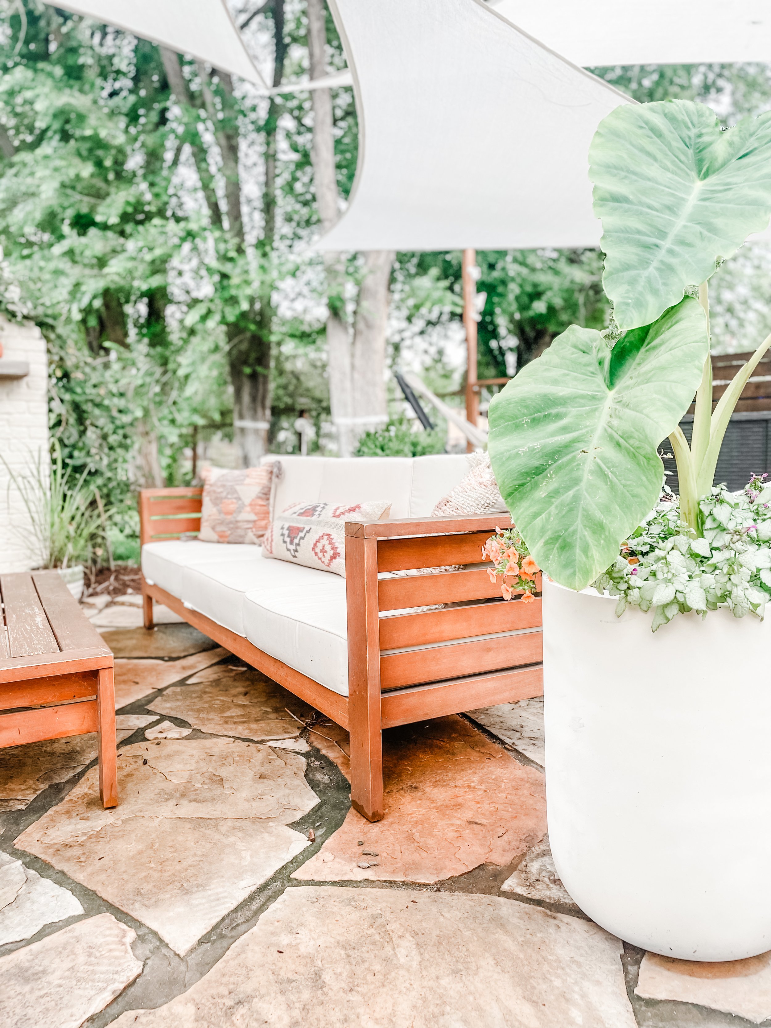 A cozy Colorado backyard patio with a white cushioned wooden sofa, decorative pillows, and a large potted plant with broad green leaves. There are trees and greenery in the background with a patio umbrella overhead.
