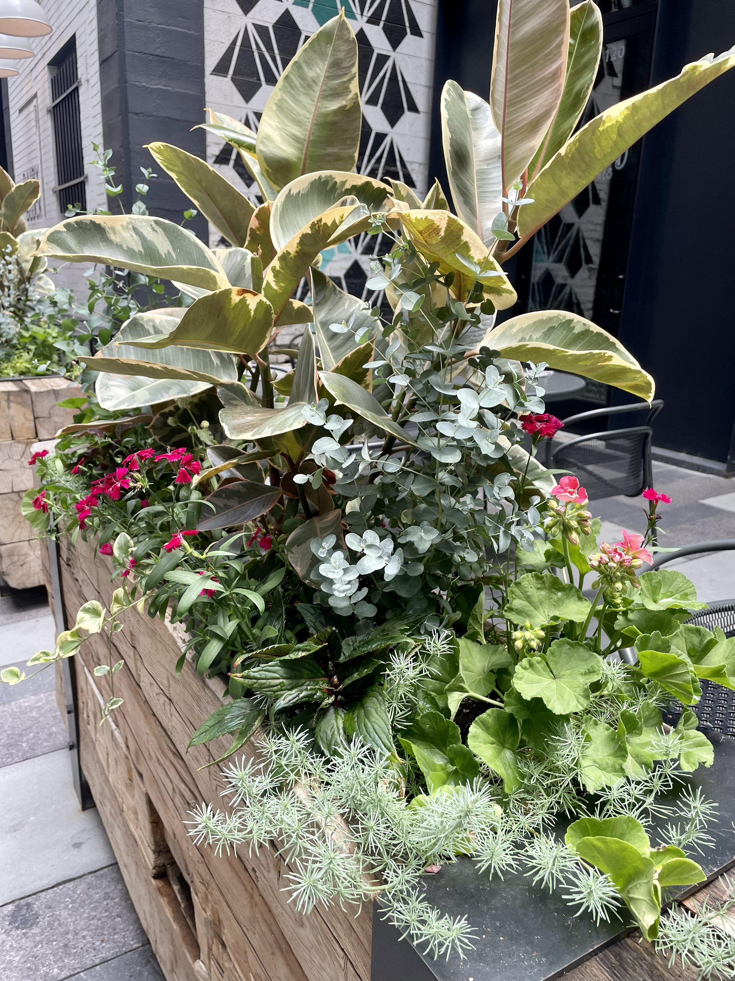 Summer Planter on Patio in Denver 