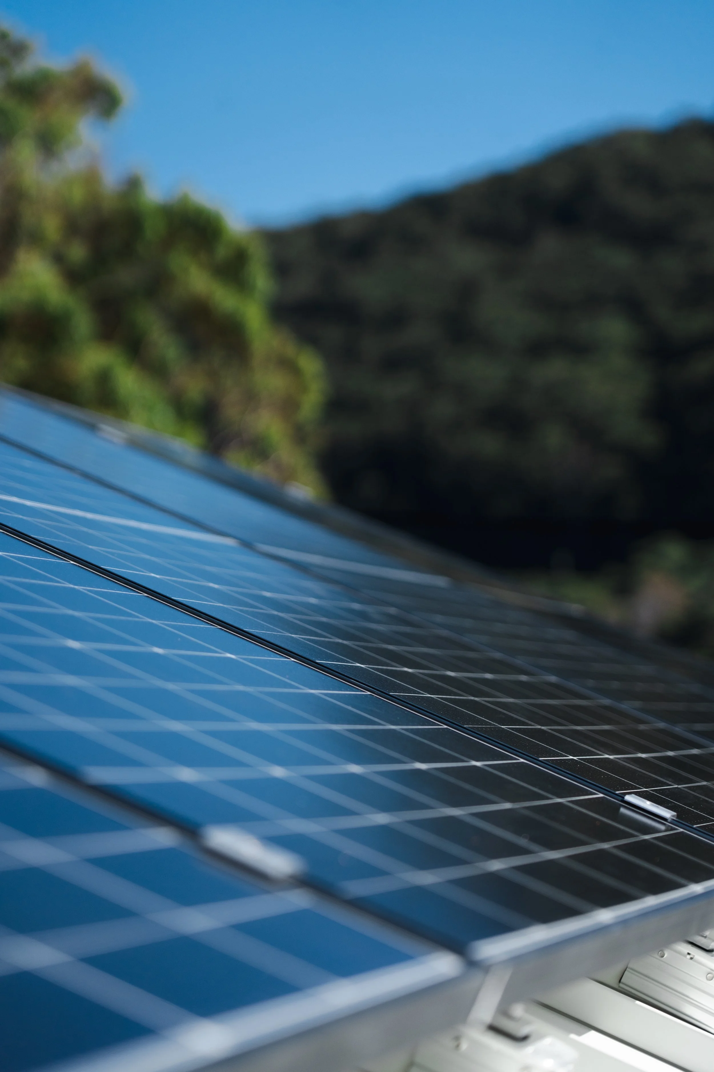Close-up of solar panels installed on a rooftop with a blurred background of green trees and a blue sky.