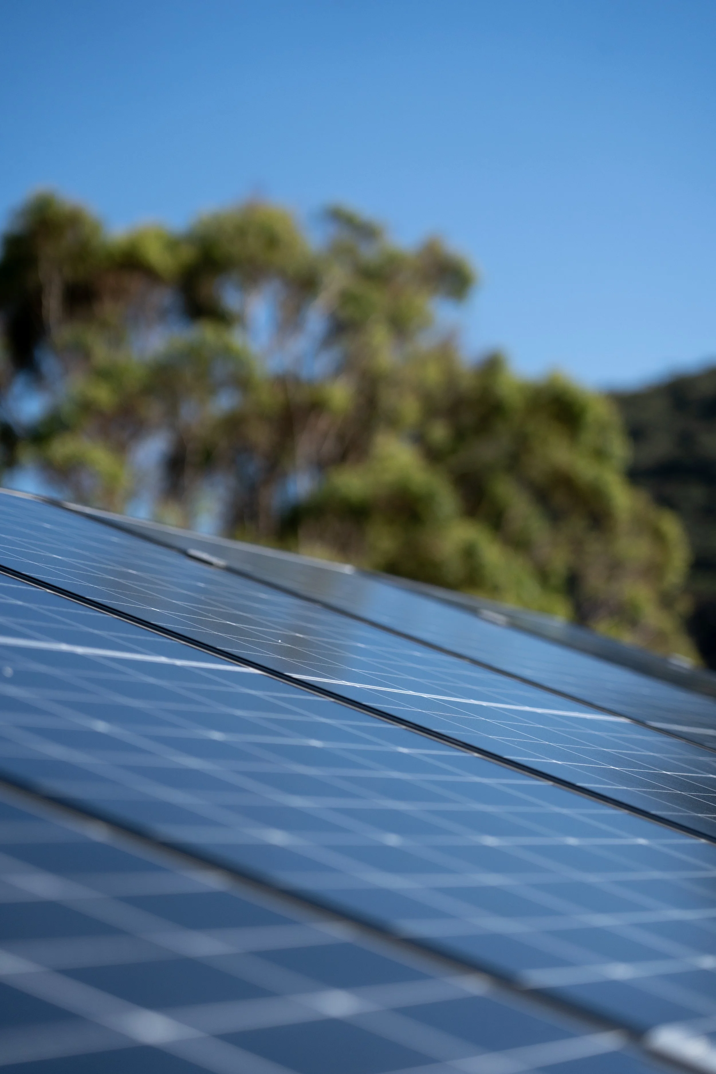 Close-up of solar panels outdoors with blurred trees and blue sky in the background.