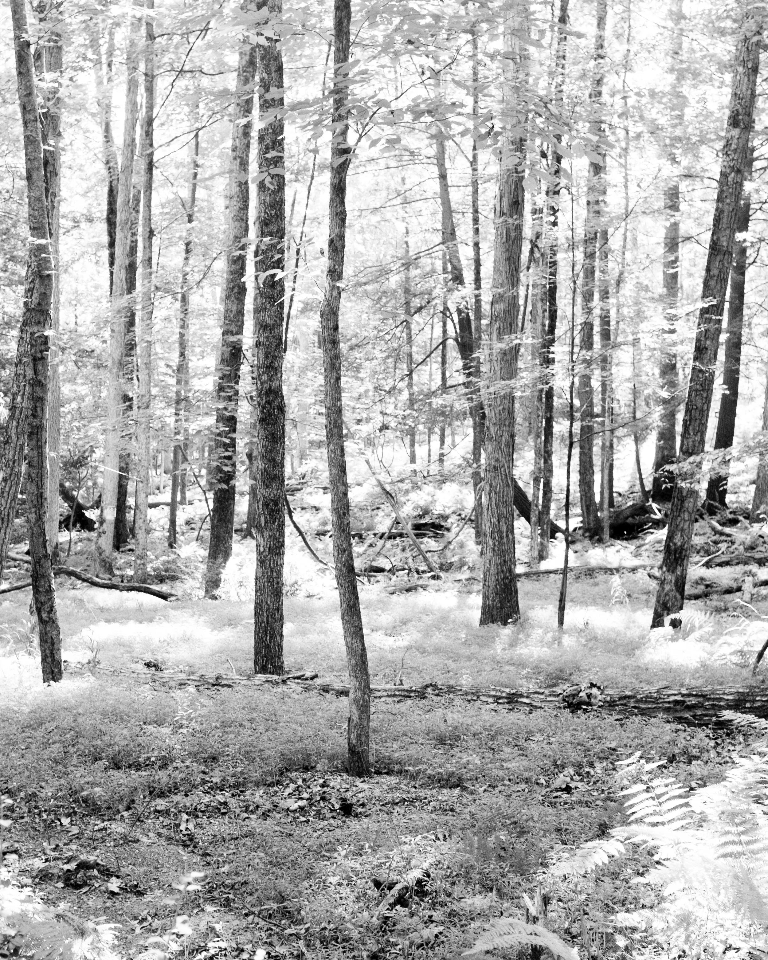 0017_DSCF4212.jpg