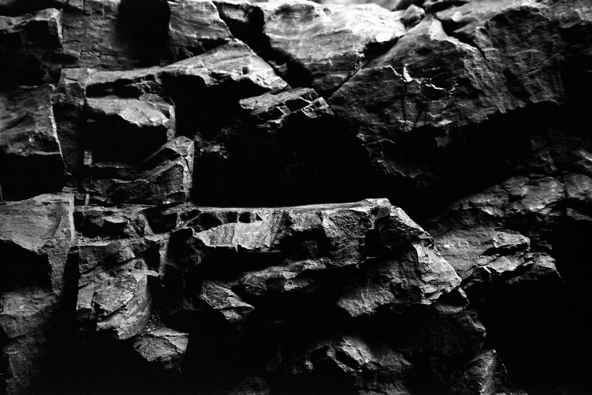 film2019_060.jpg