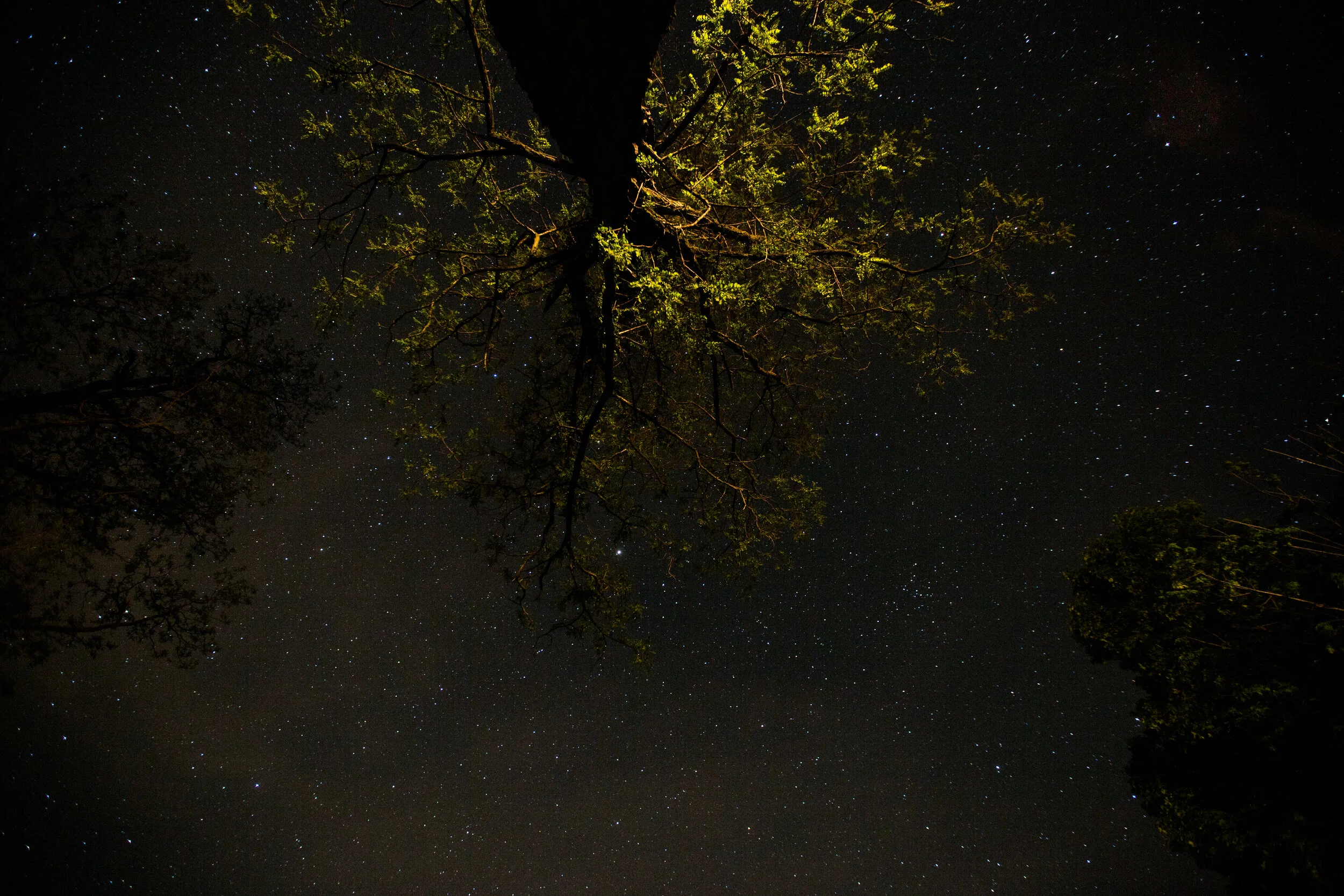 fullsize-0035.jpg