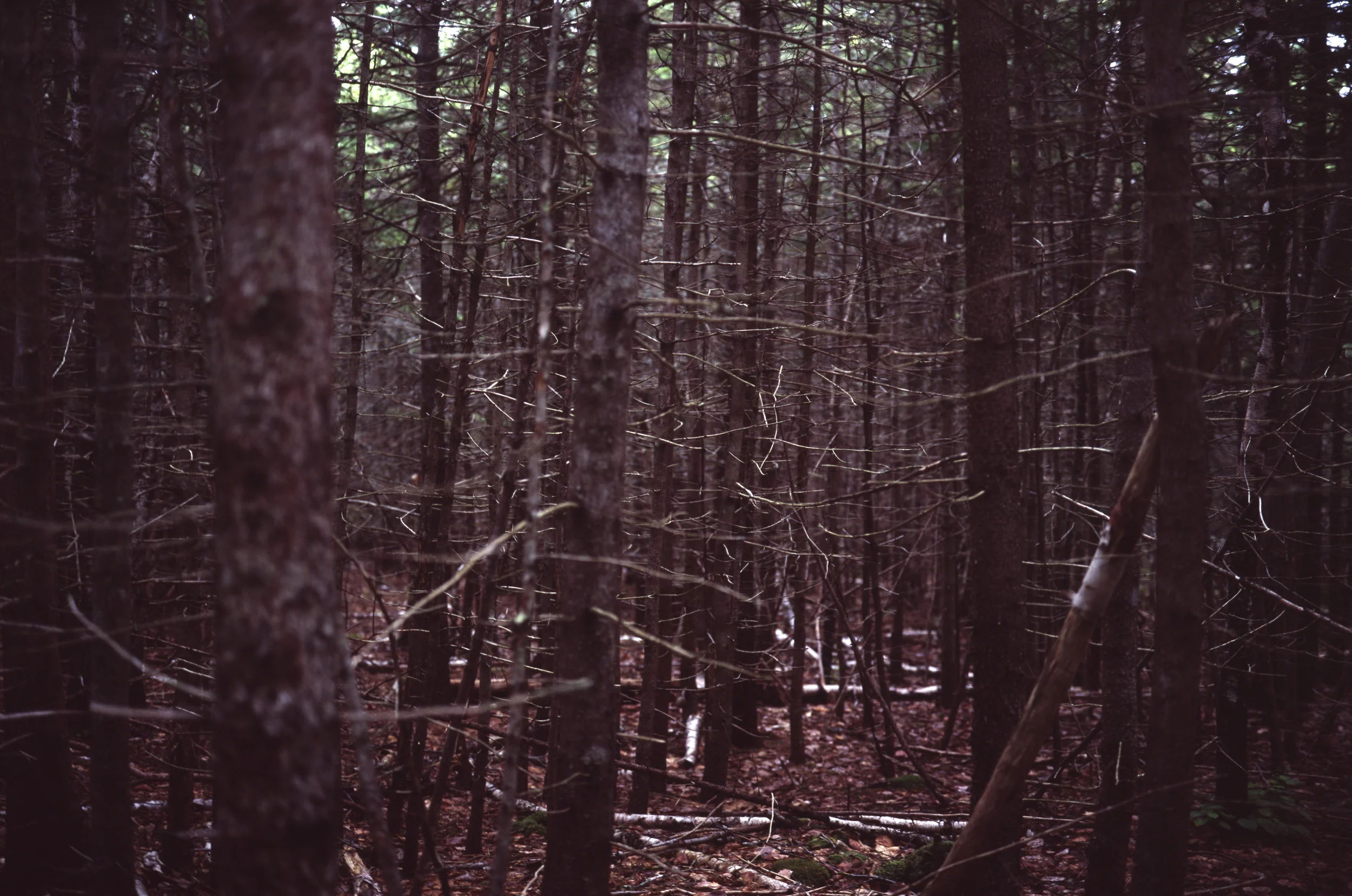 0014_img148.jpg