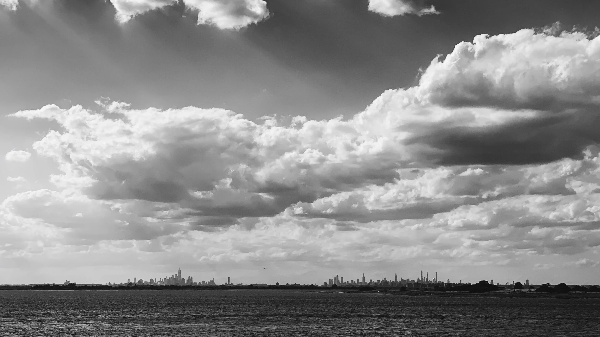 NYC Skyline_Winnie Jeng