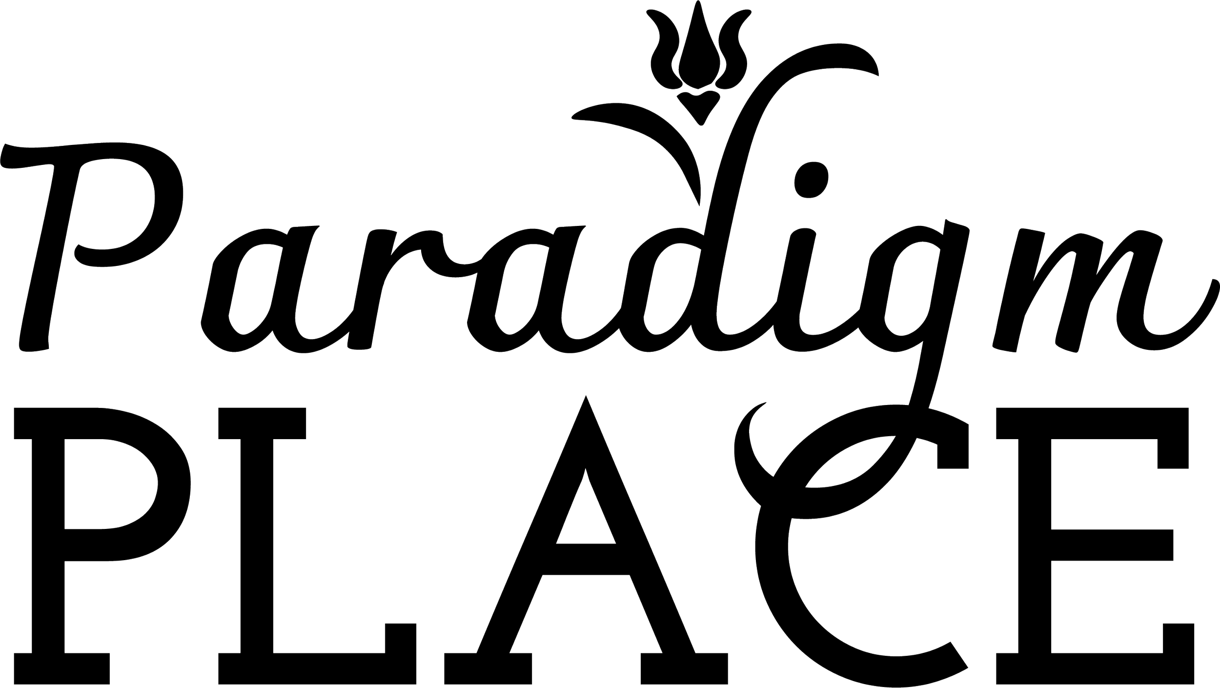 Paradigm Place Vertical Logo (Black).png
