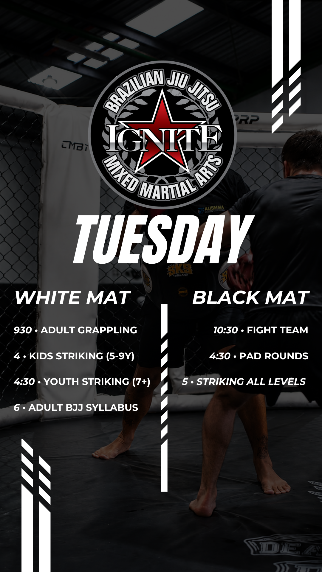 Ignite Martial Arts Academy Timetable and daily Class Scheduling