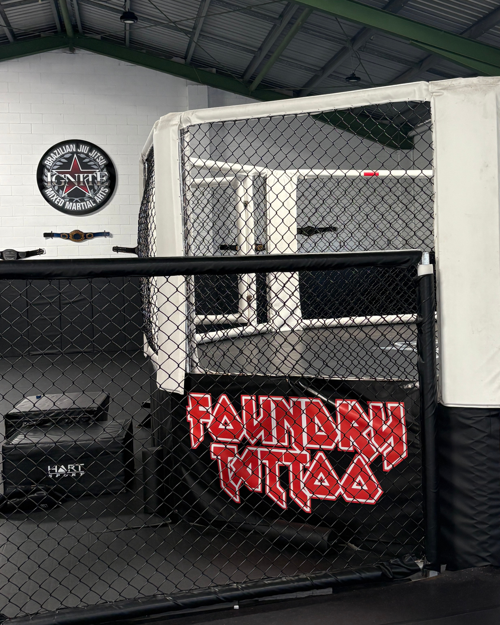 the number one martial arts gym in caloundra. brazilian jiu jitsu and mixed martial arts for kids and adults