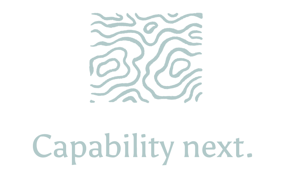 "Capability Next"