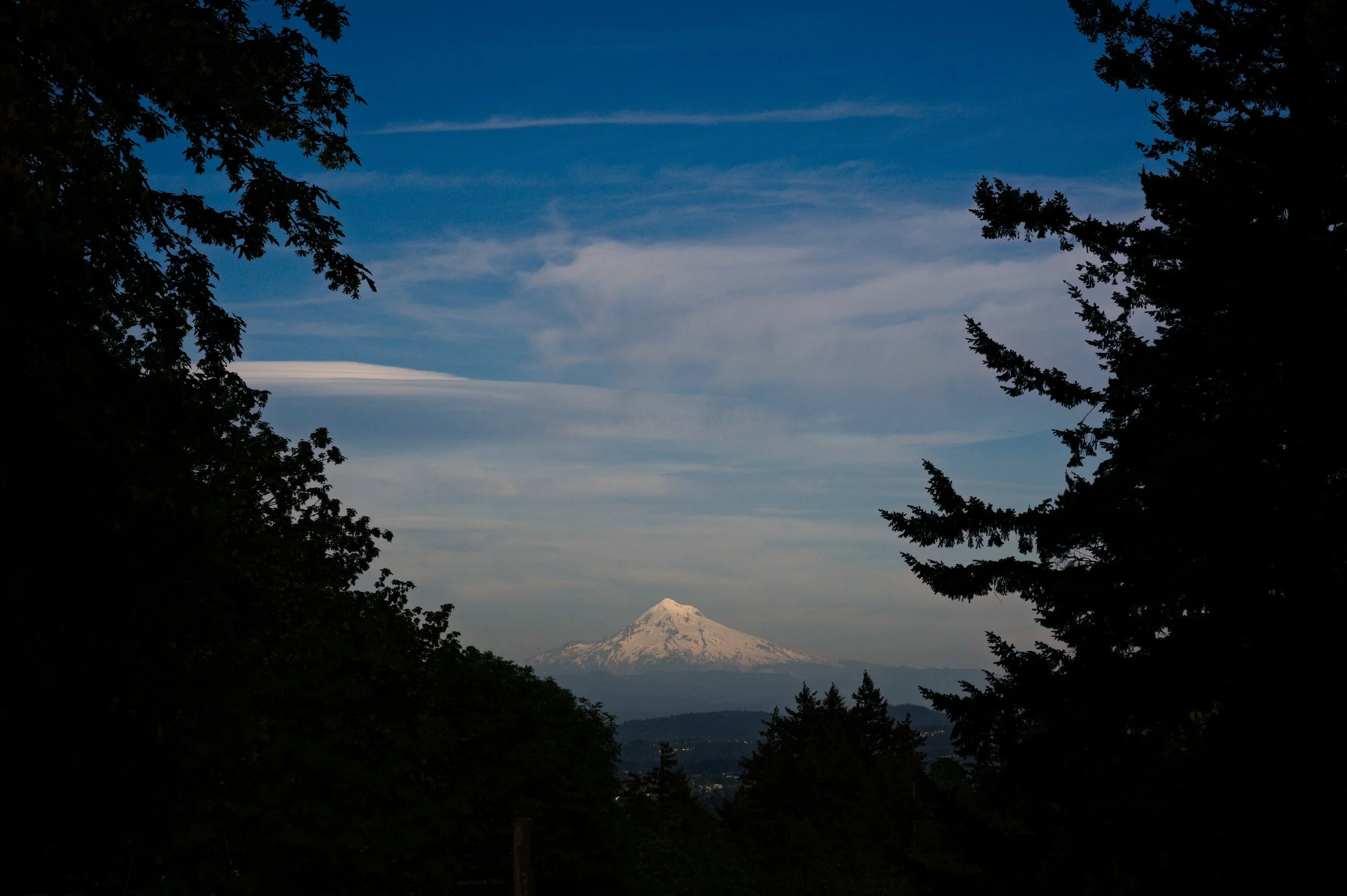 Snow-capped mountain seen through silhouette of trees on either side against a blue sky.