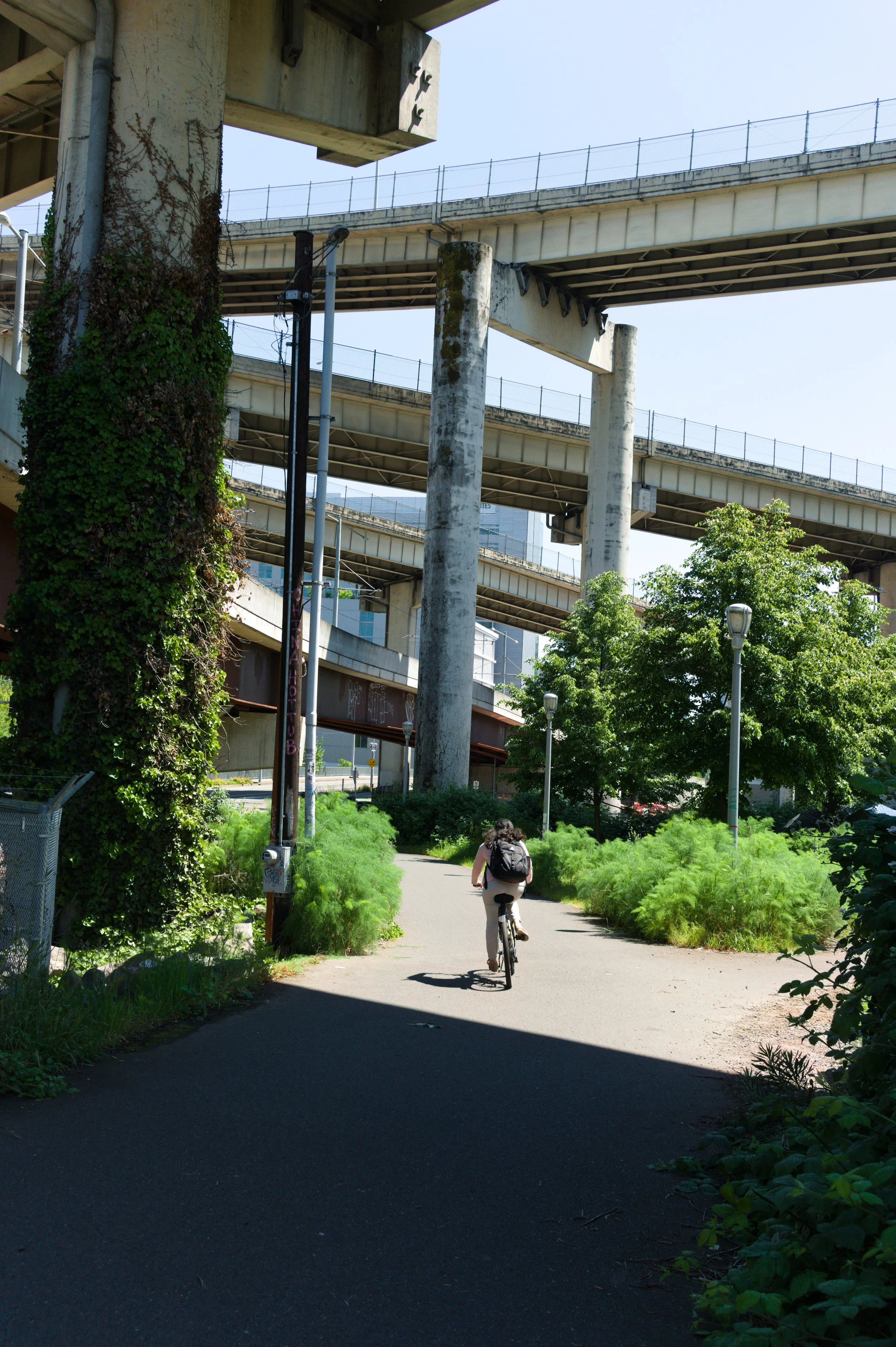 Person riding a bicycle on a dirt trail under an overpass with green trees and bushes surrounding the path.