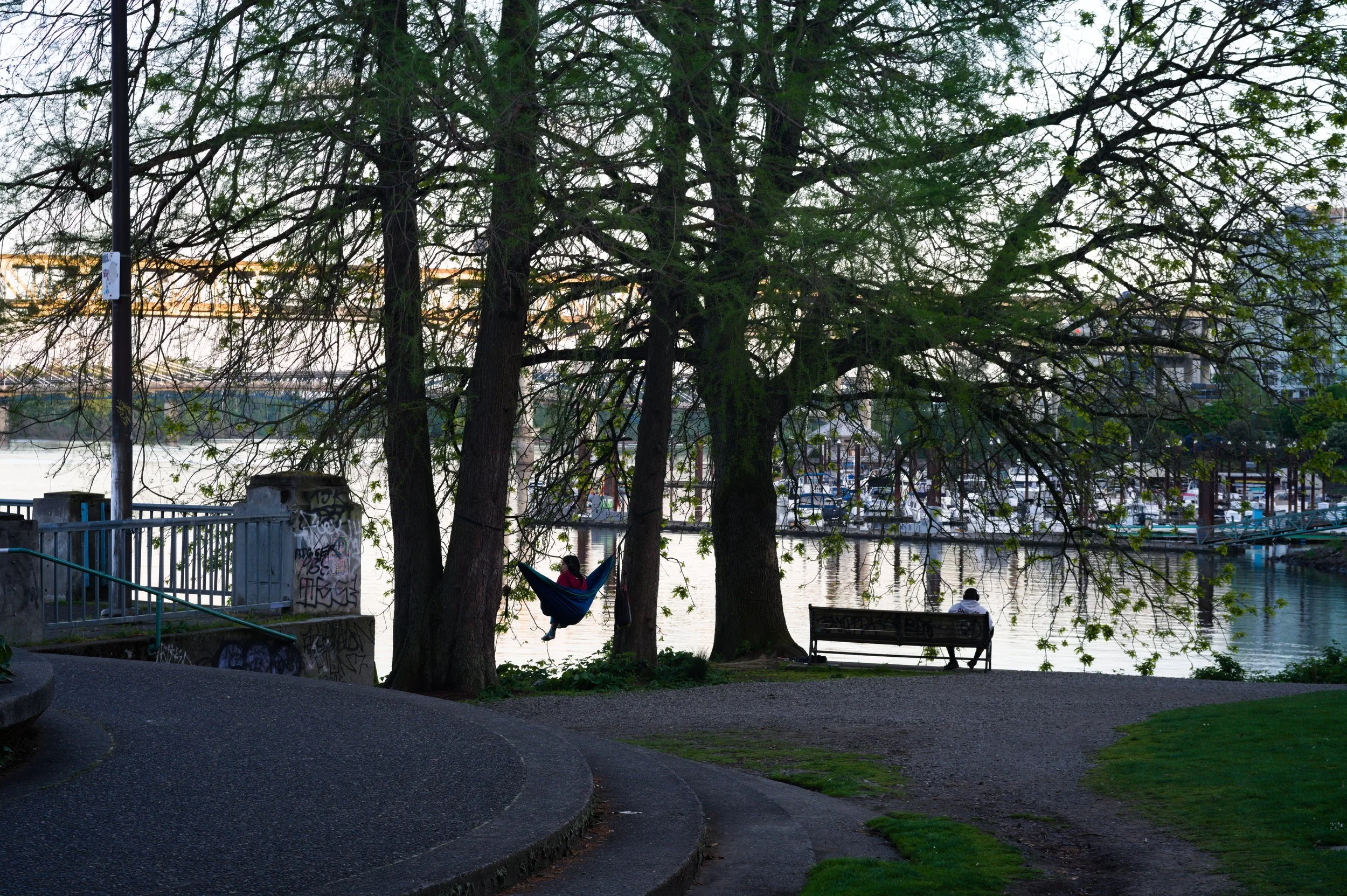 A young girl swinging on a hammock tied between two large trees by a waterfront park.