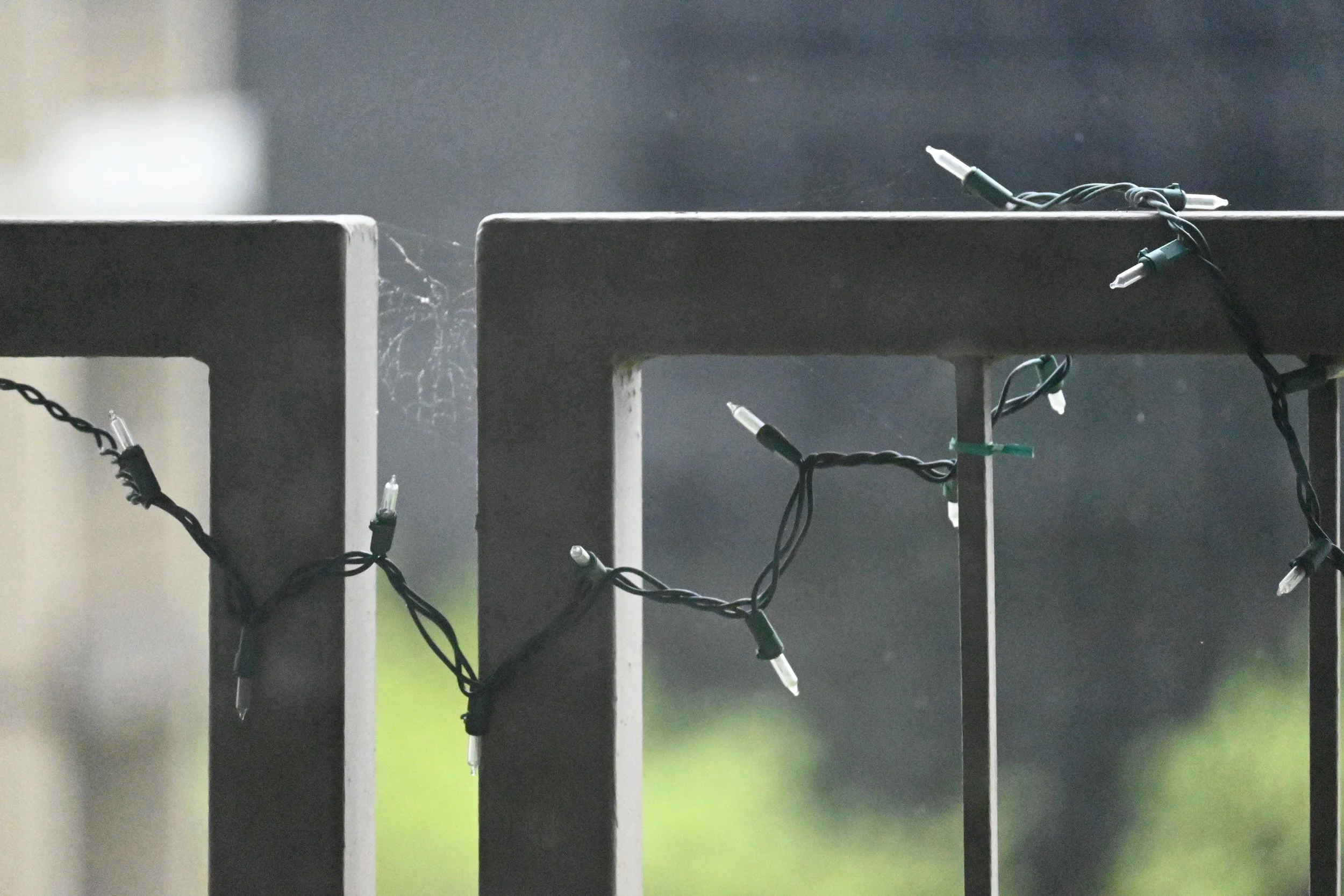 String of Christmas lights tangled on black metal fence with cobwebs and a blurred background.